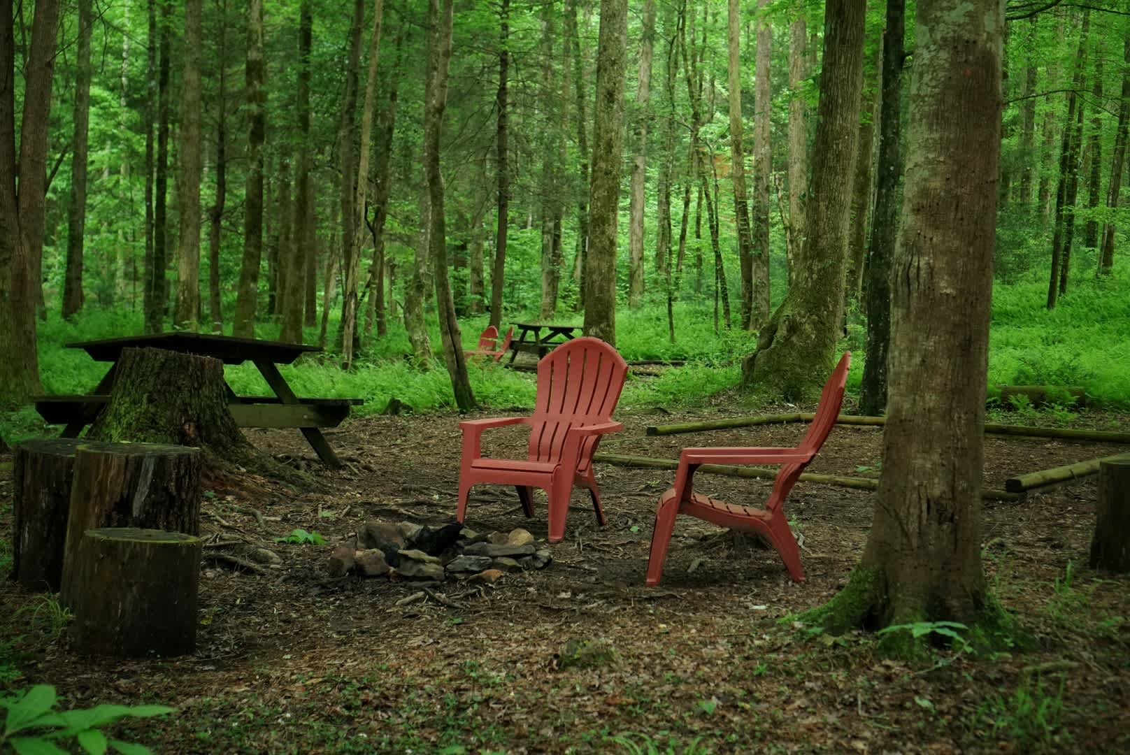 Mulberry Gap - Camping & Van Stays