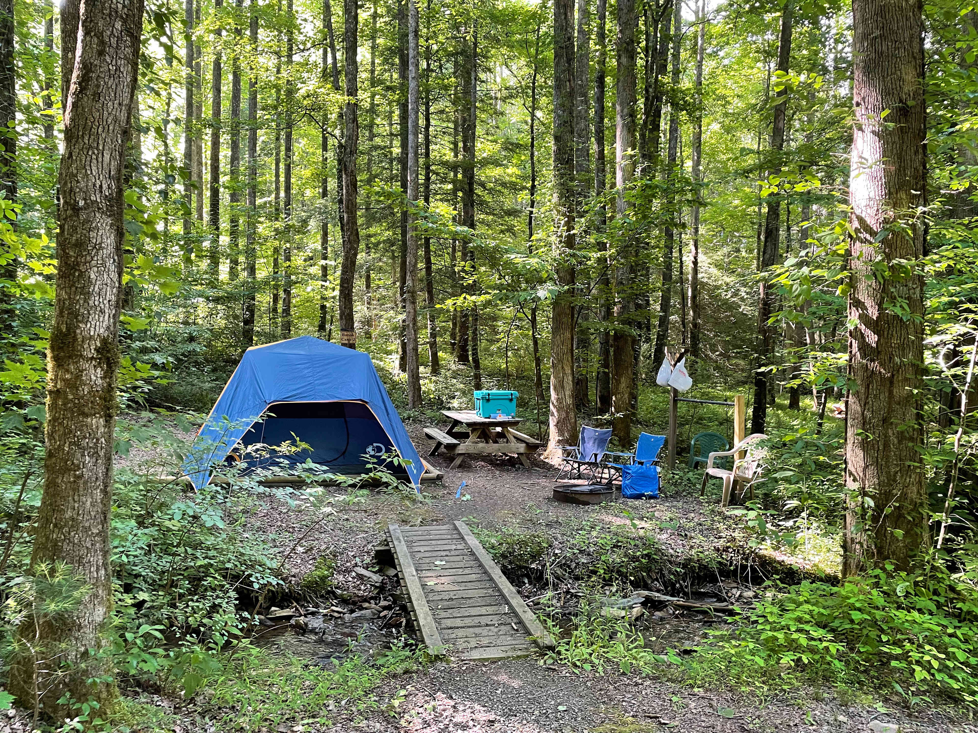 Mulberry Gap - Camping & Van Stays
