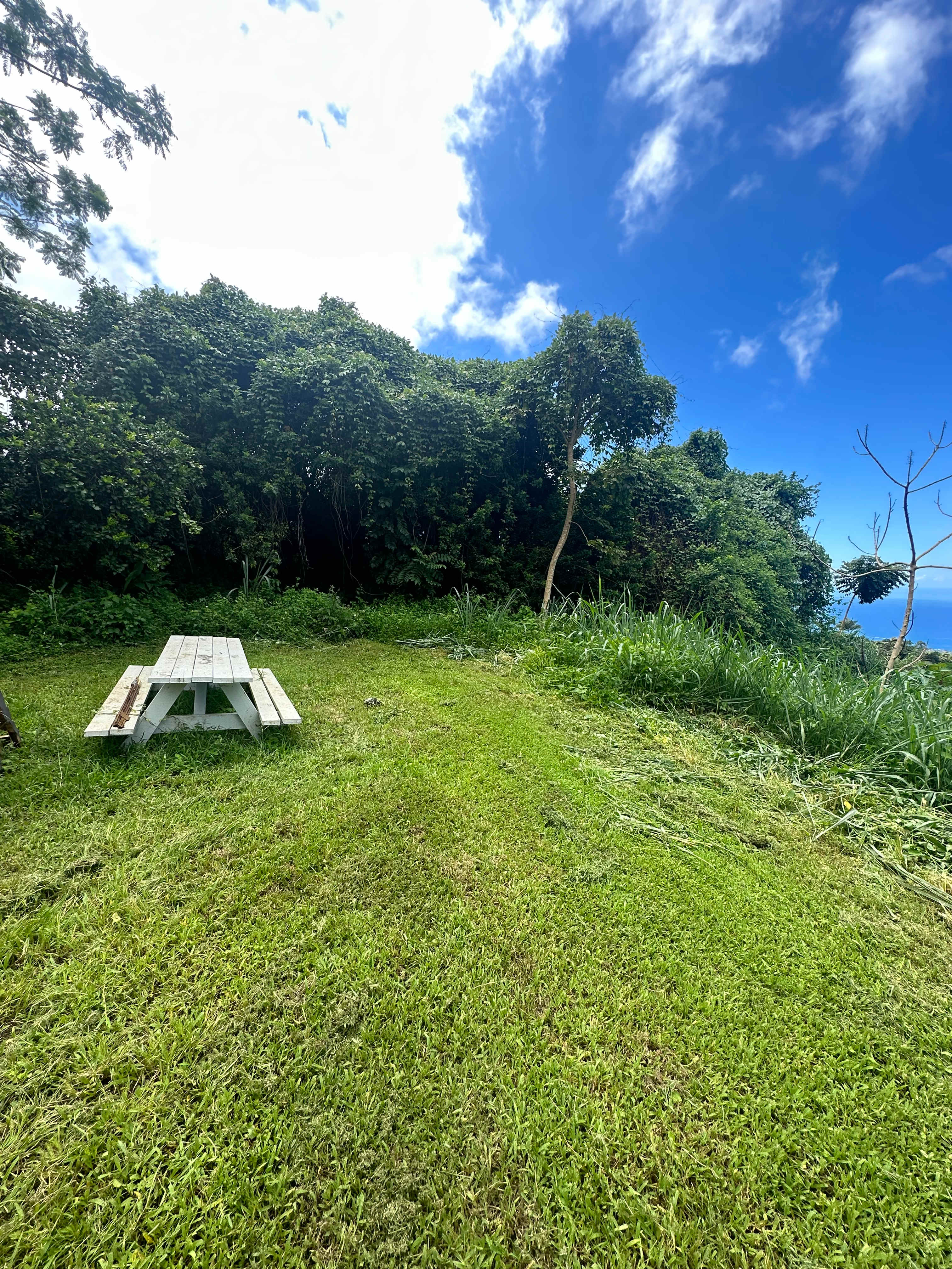 Keōpū Farms