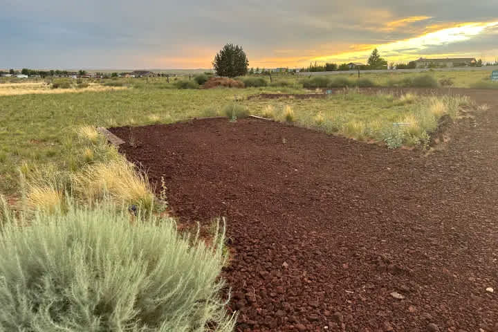 Camp Land Beyond Zion