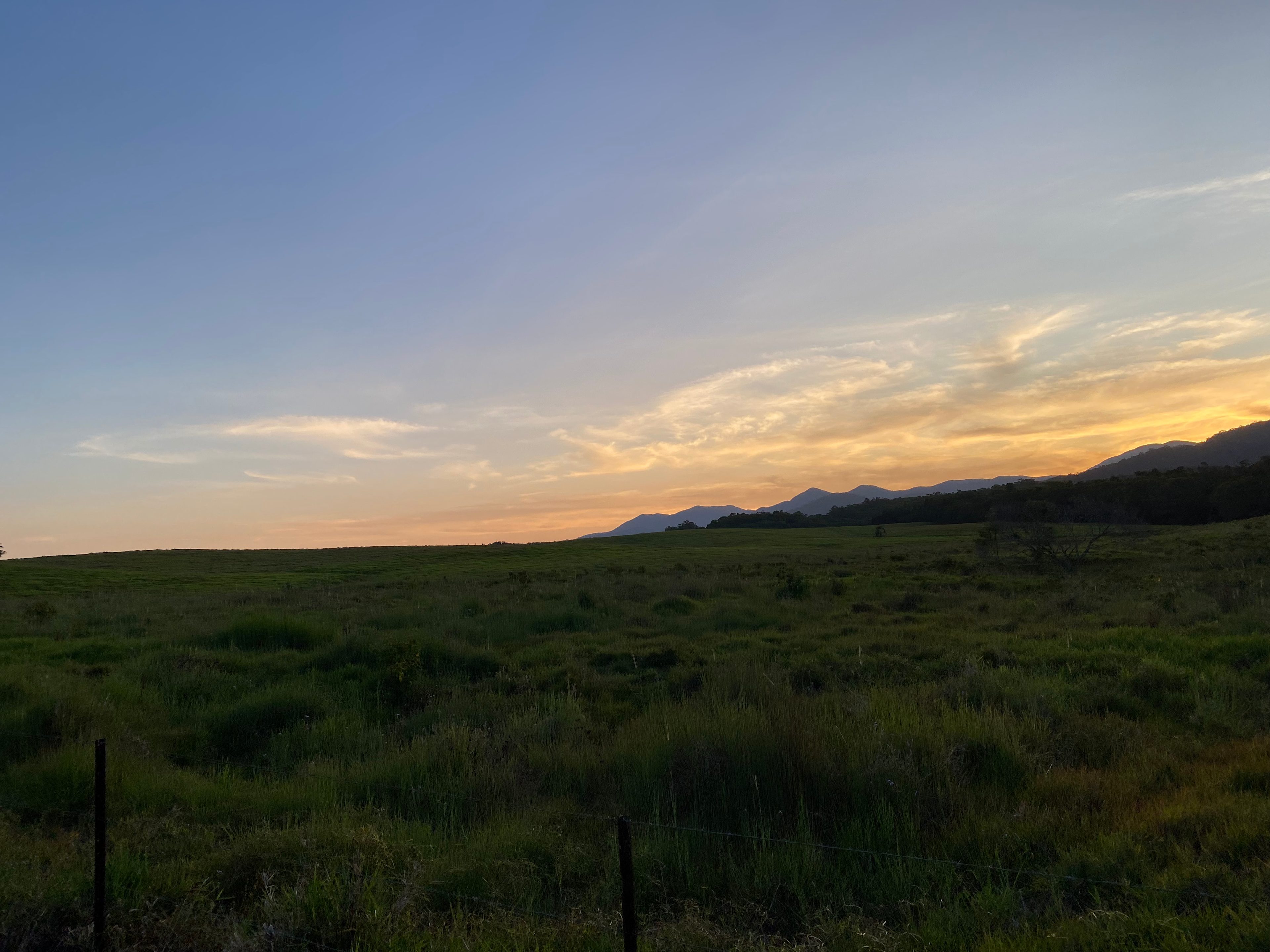Highland Views