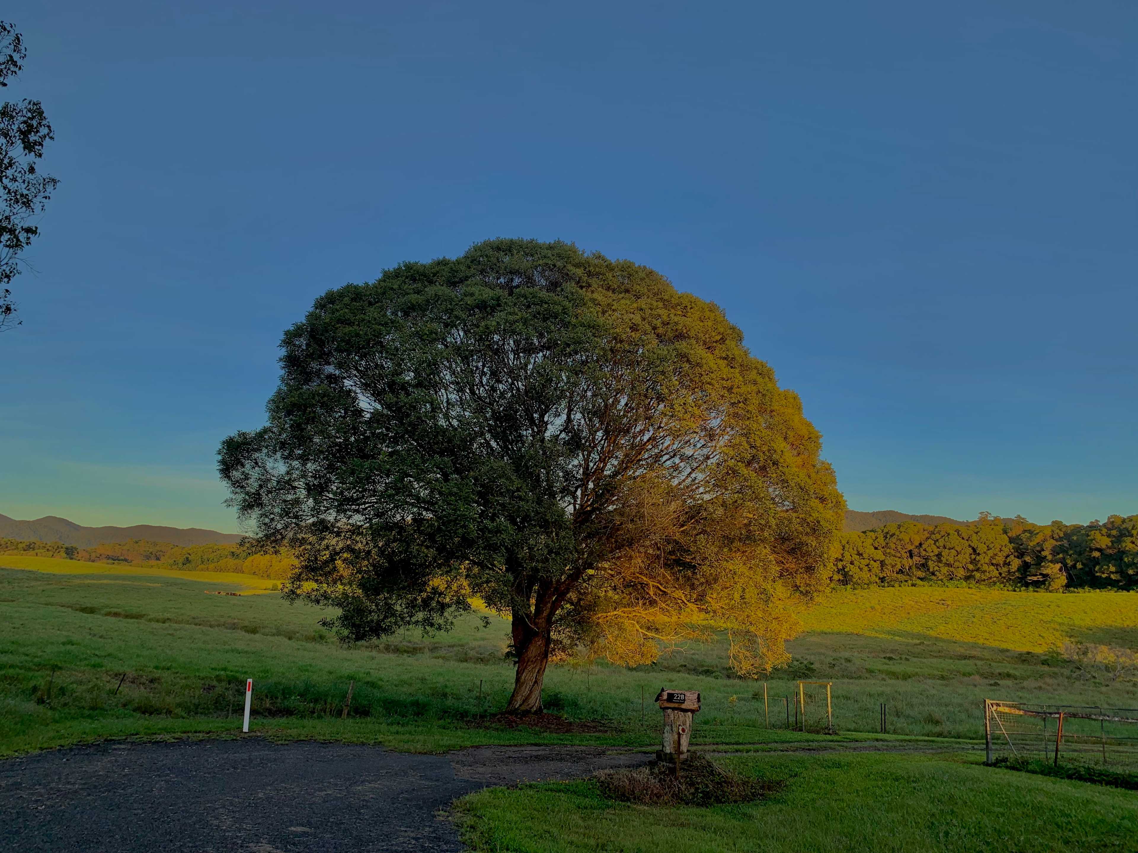 Highland Views