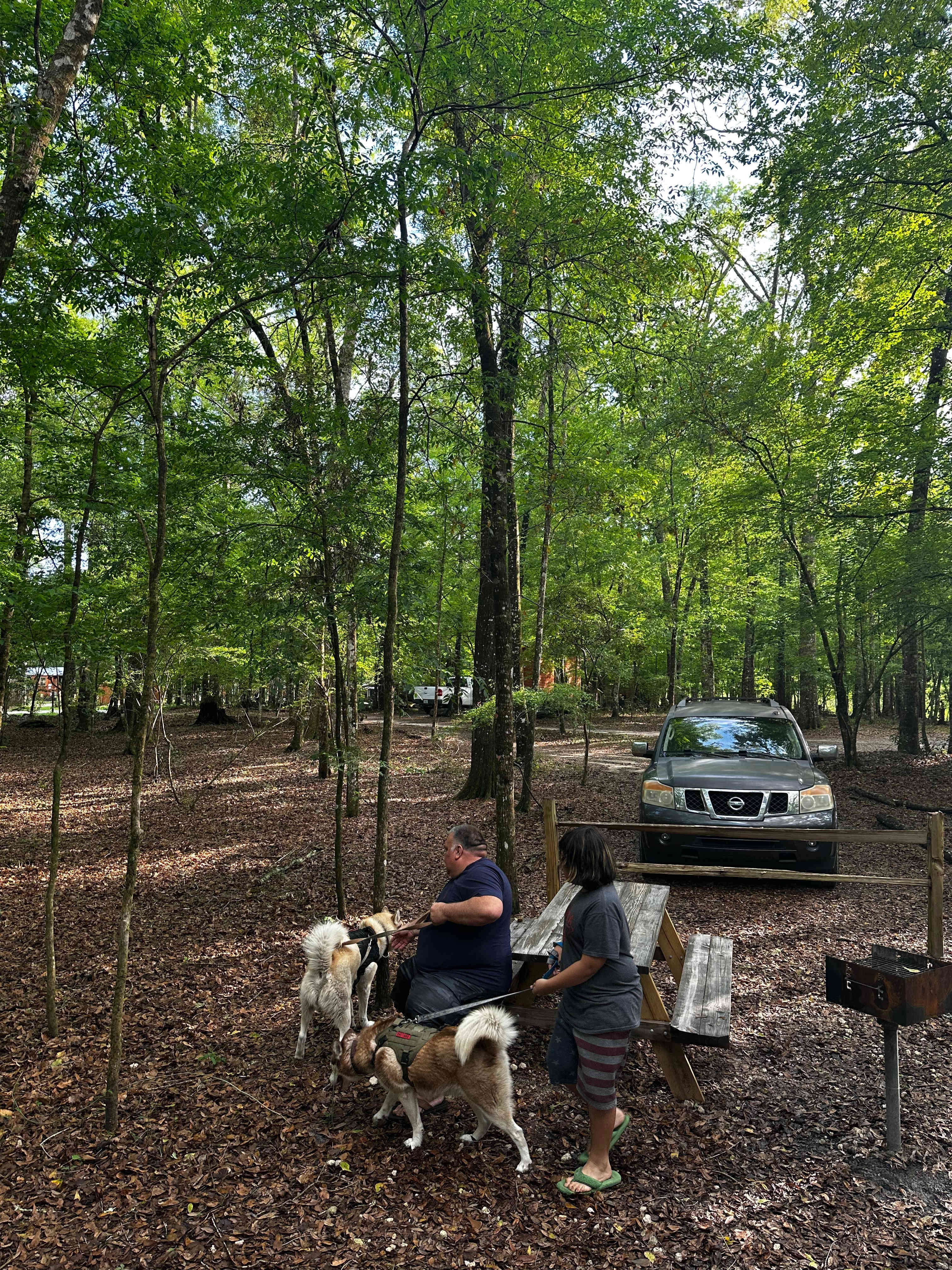 Forestry Treat, Blue Ridge