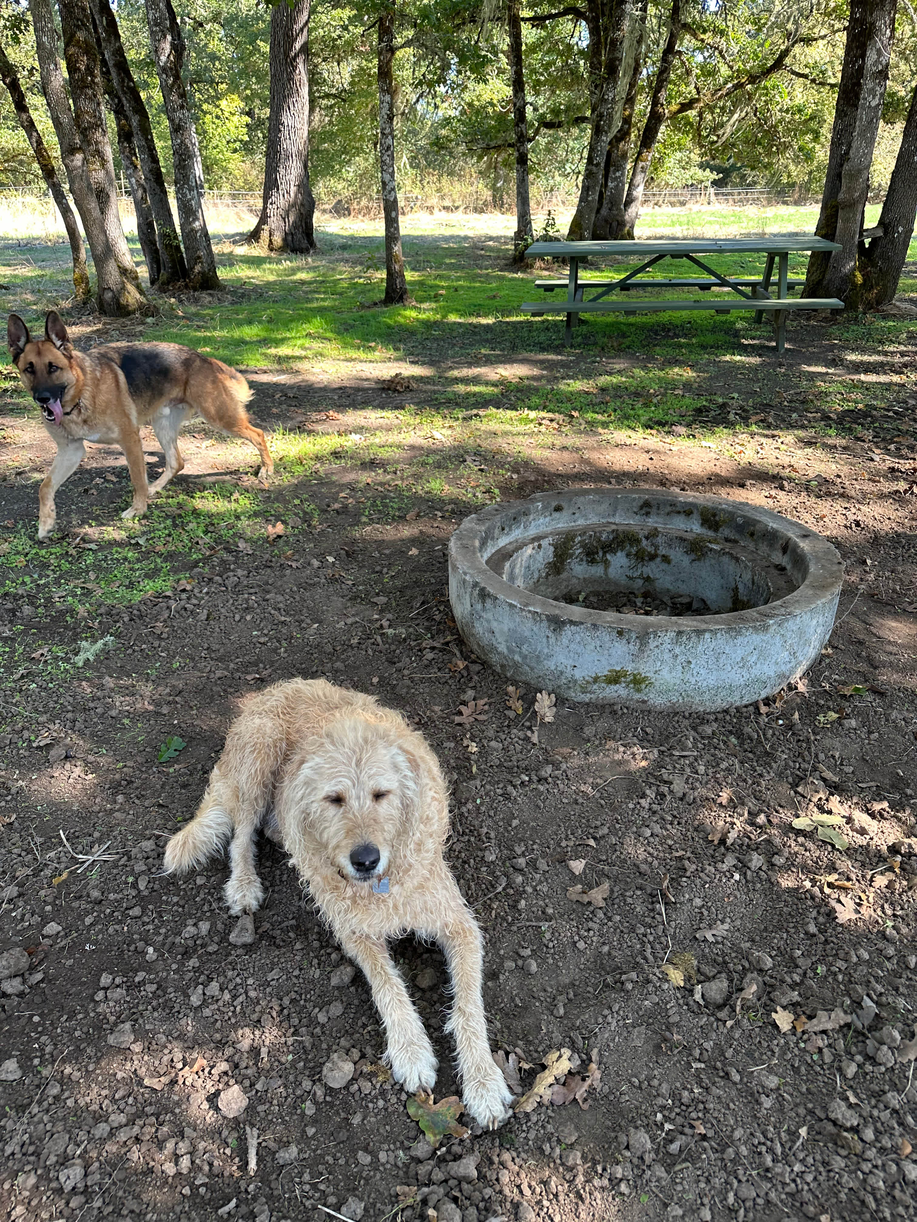 Coyote Camp