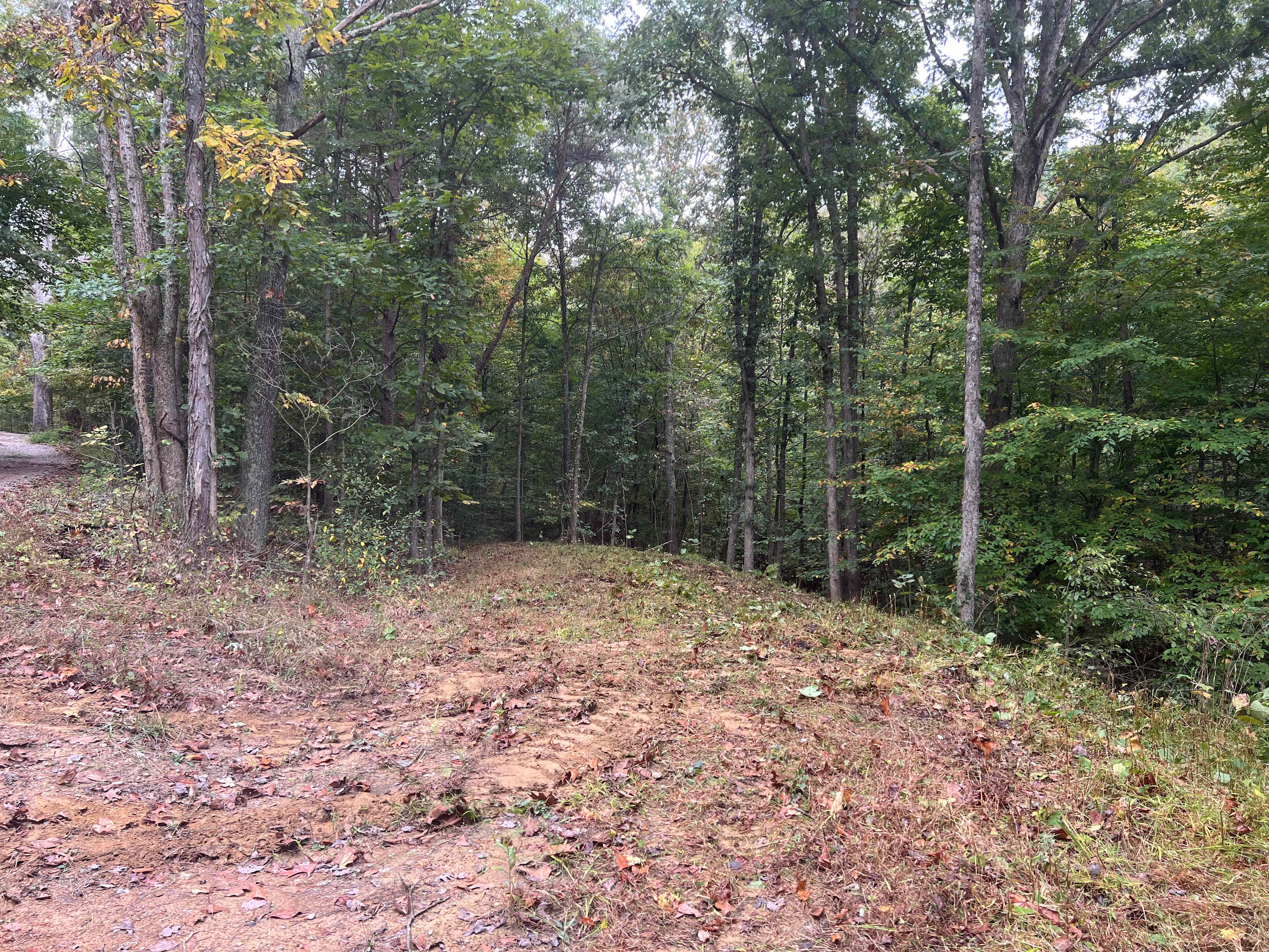 This is the view of the site from the driveway 