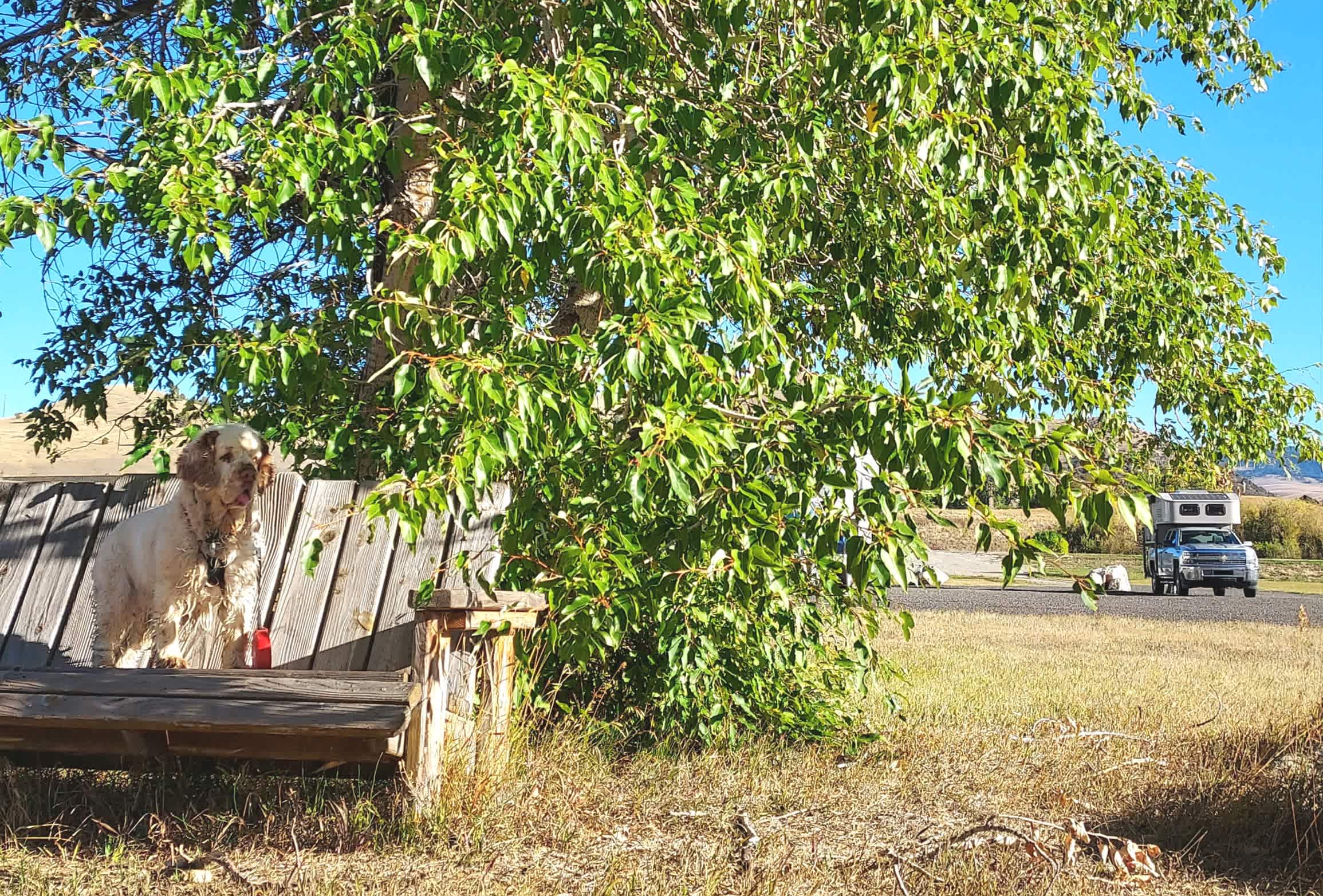 Picture of the site