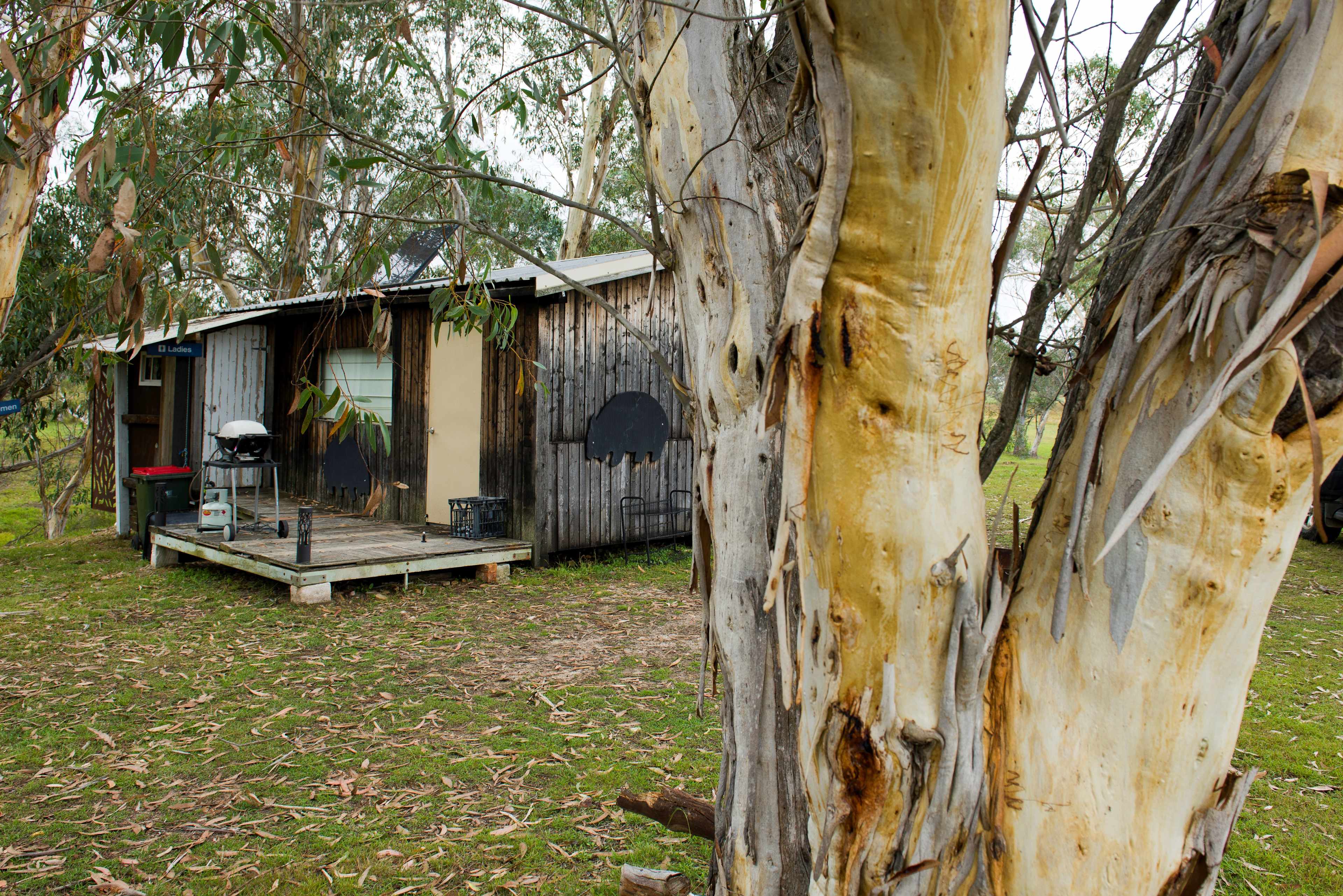 Truffle Farm Camping