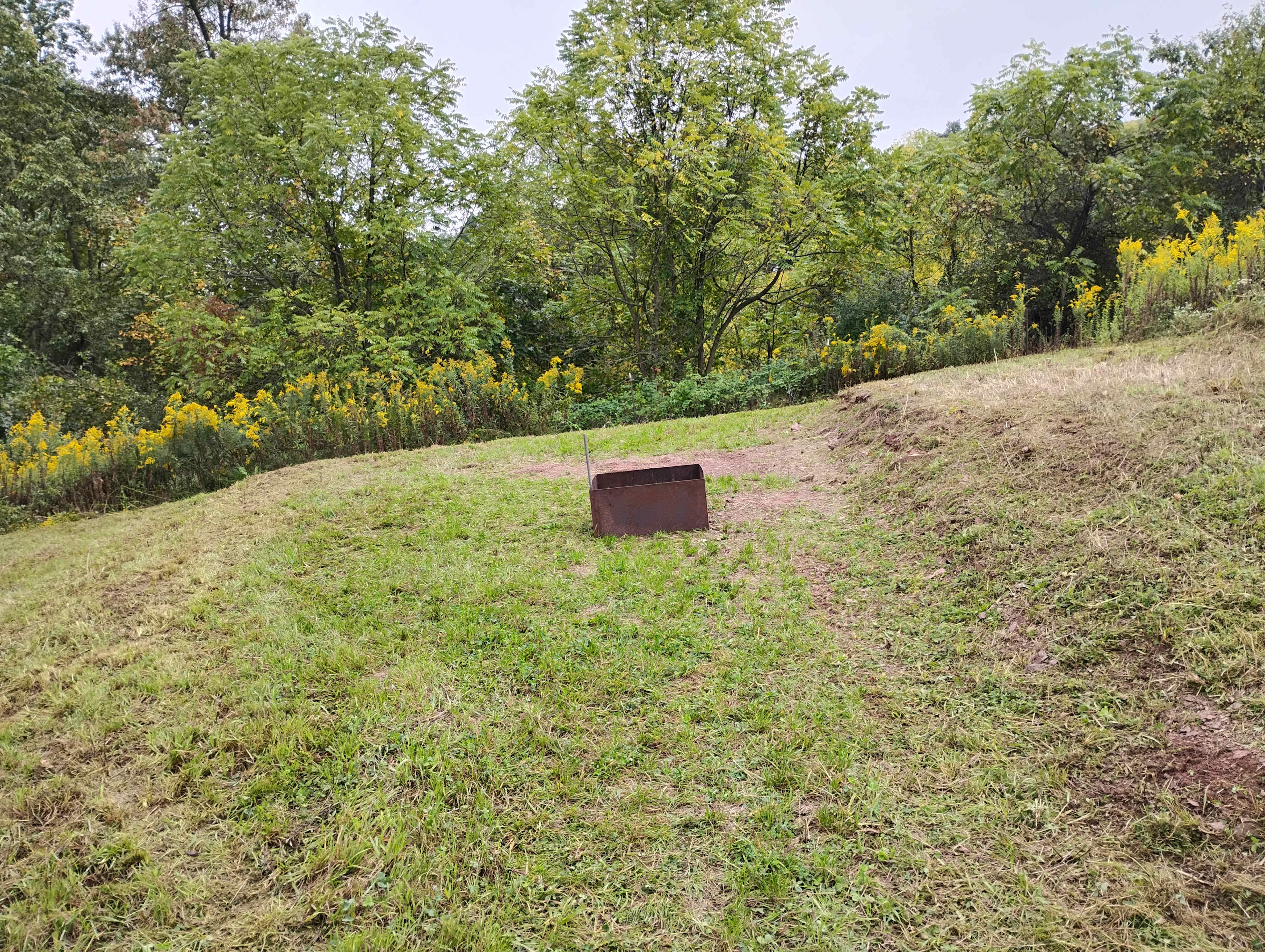 The Farm at Millwood Drive
