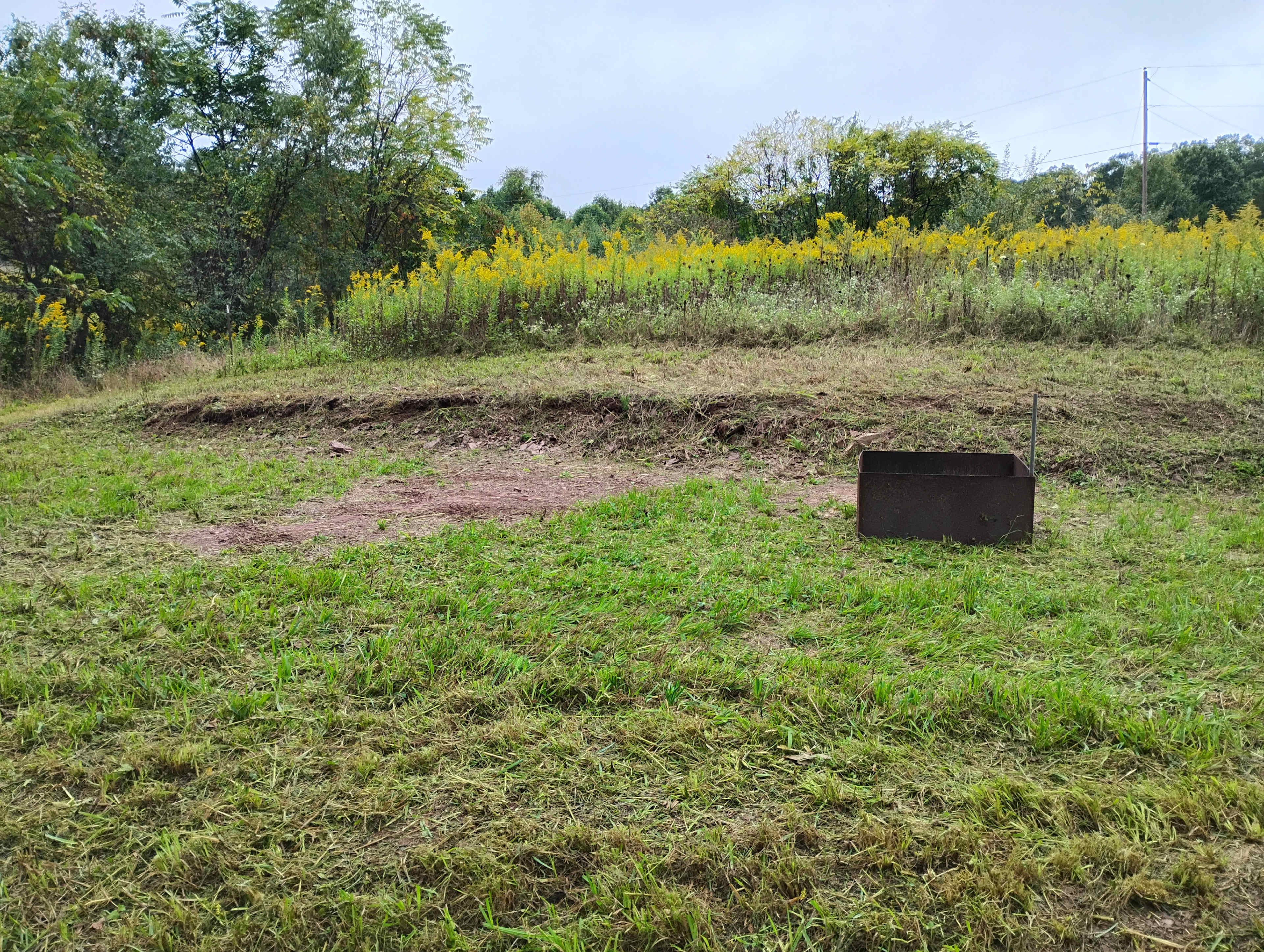The Farm at Millwood Drive