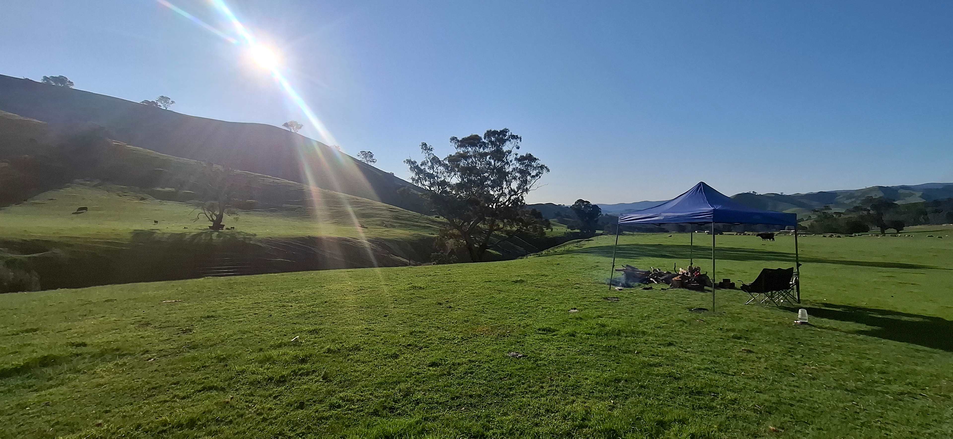 Picture of the site