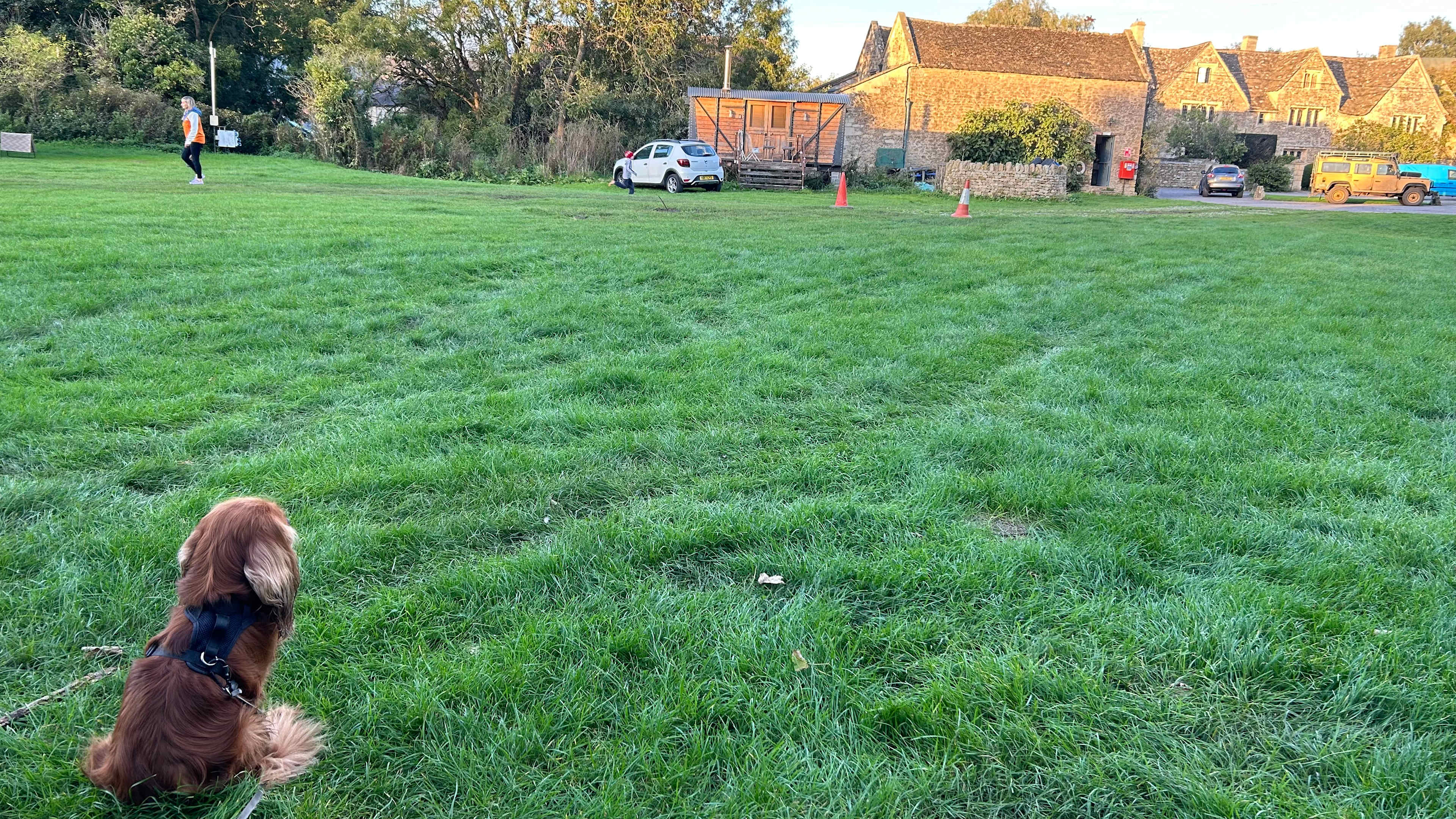 Looking out toward the Farm