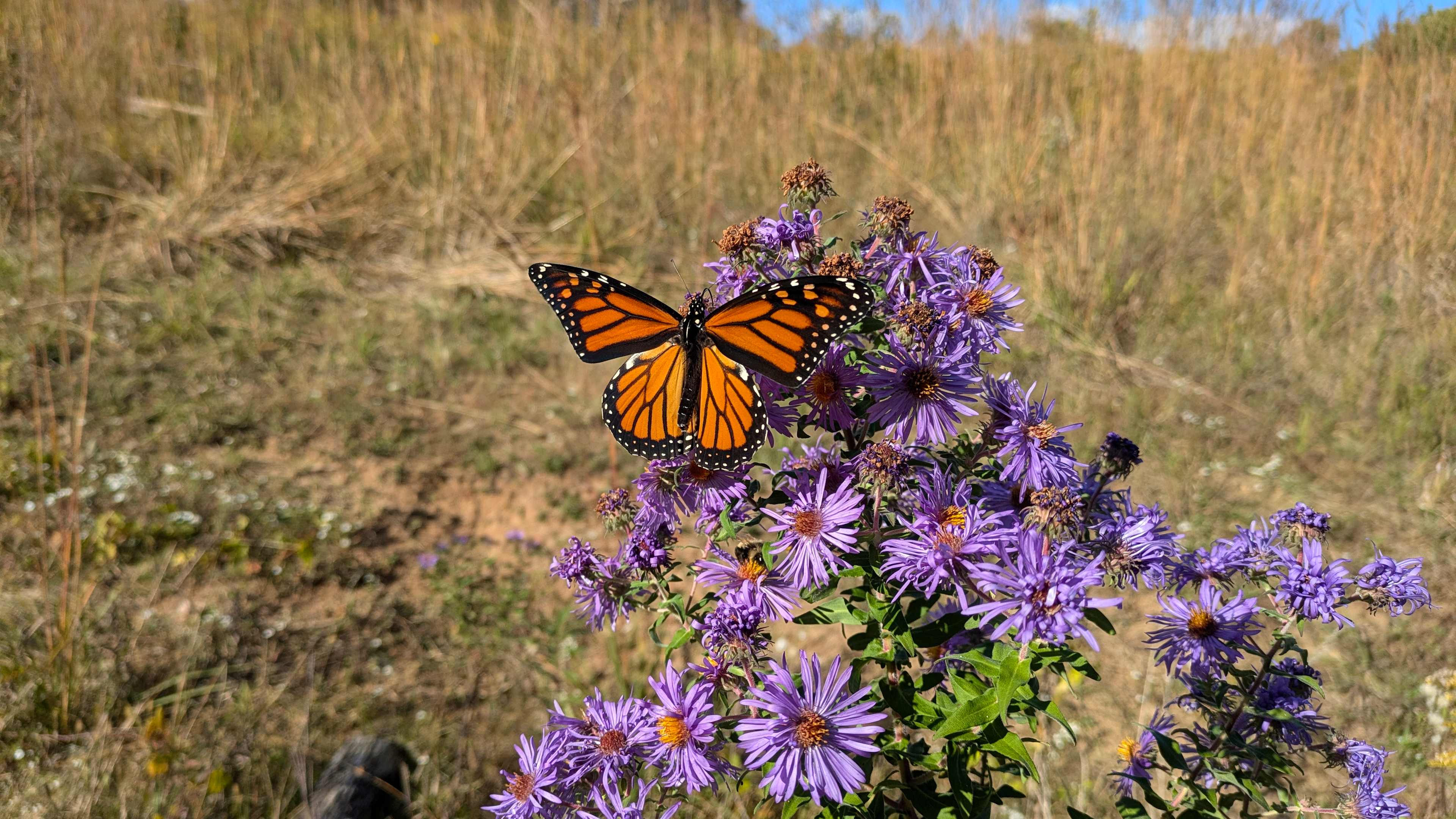 Hike on Sugar Creek bluff