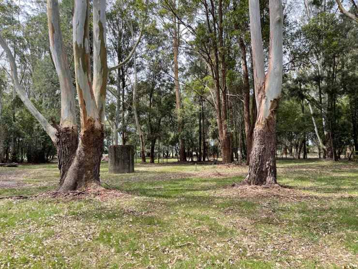 Secrets of Terara