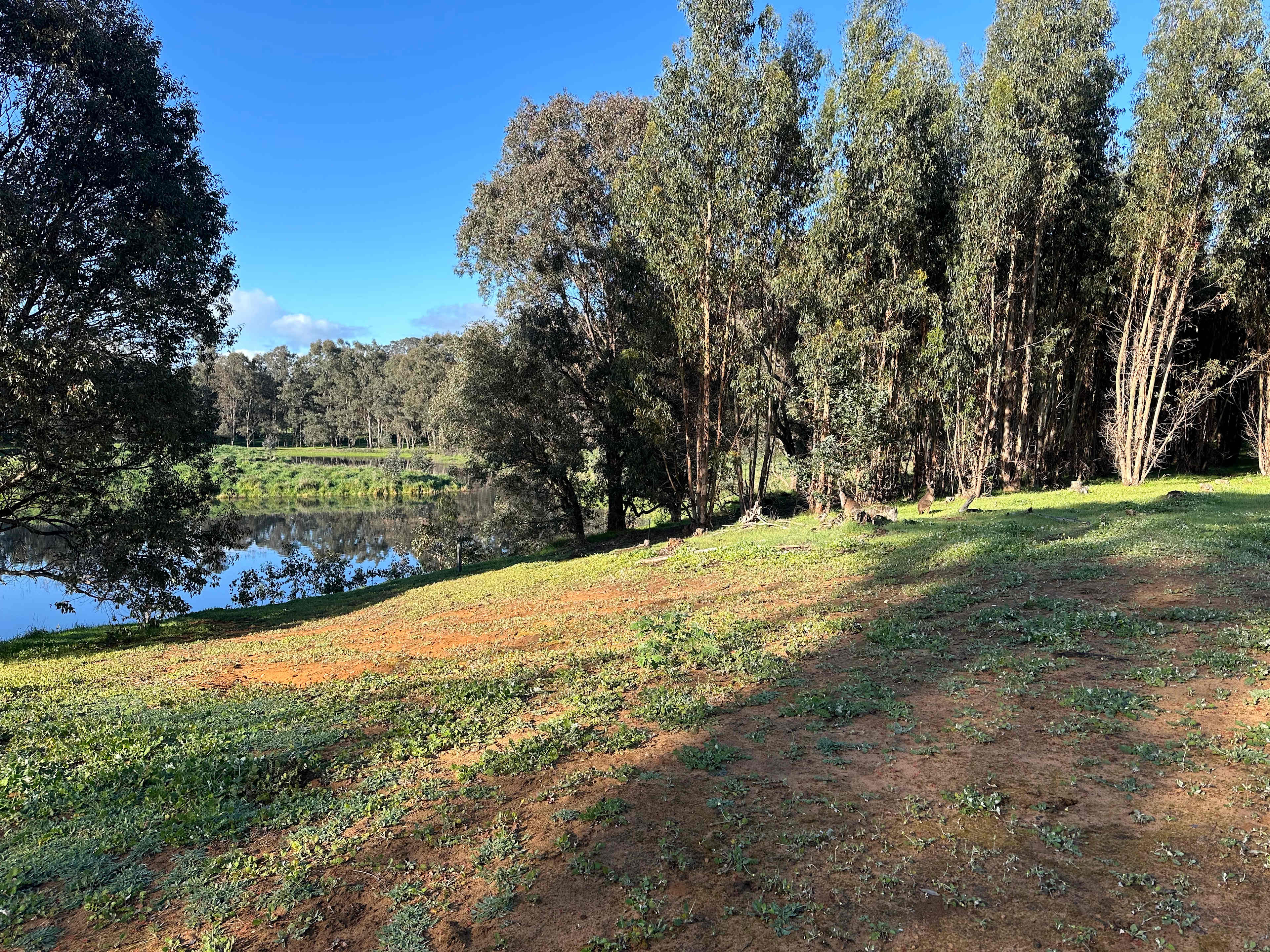 Nannup River Cottages