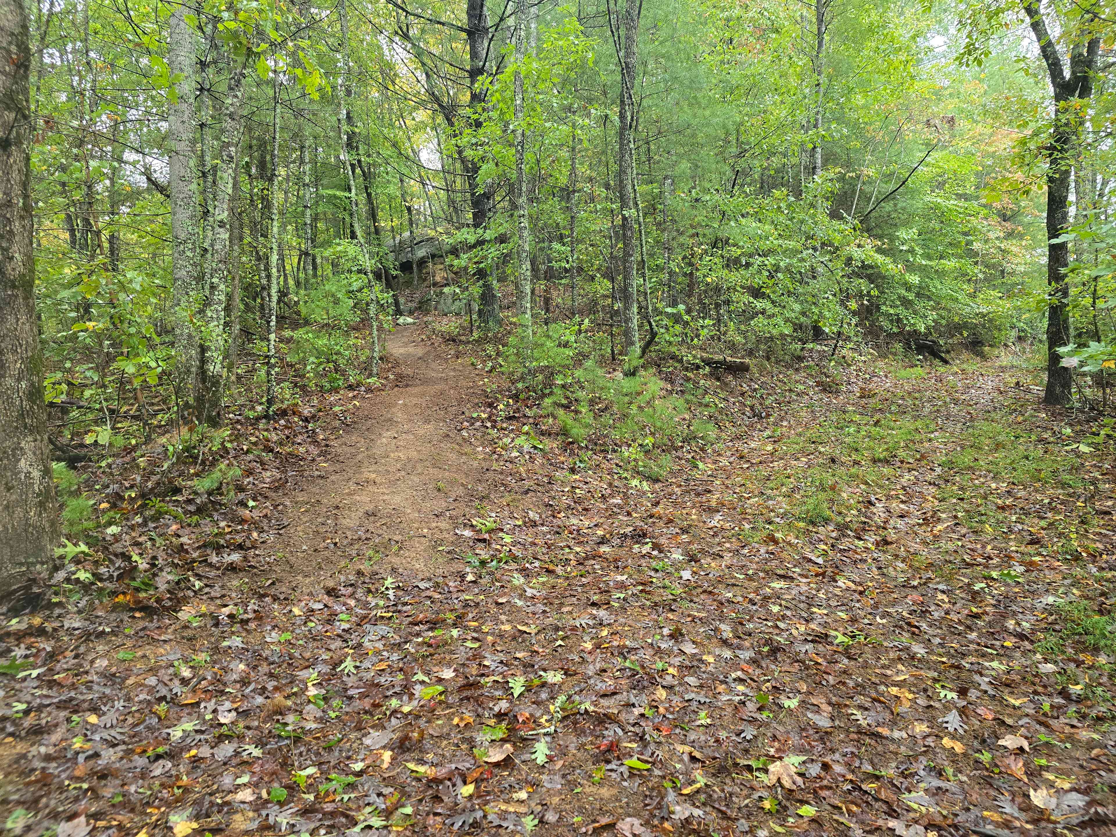 Parking area and path to Primitive camp site #1 on the left