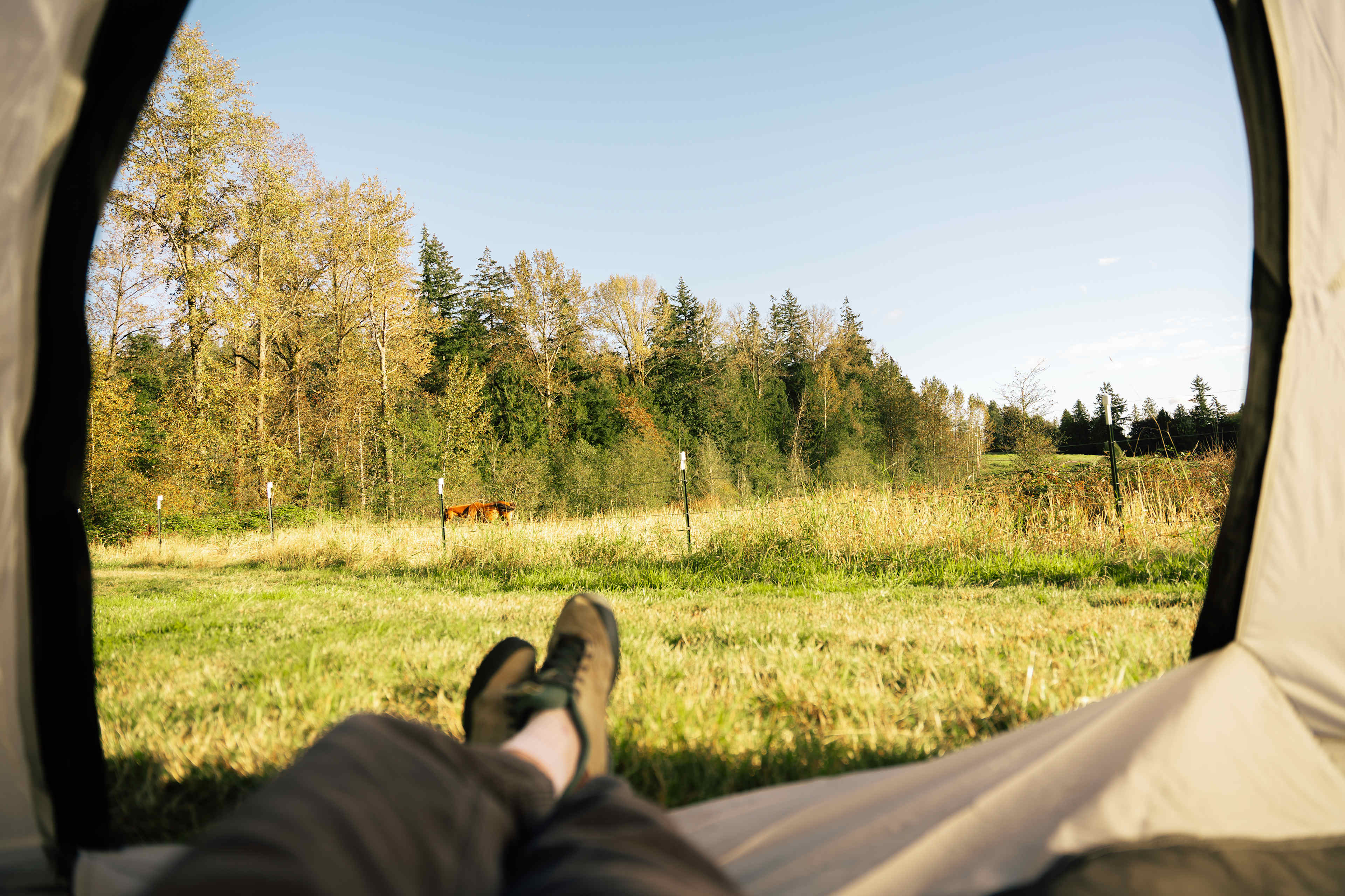 Otter Pond Pastures
