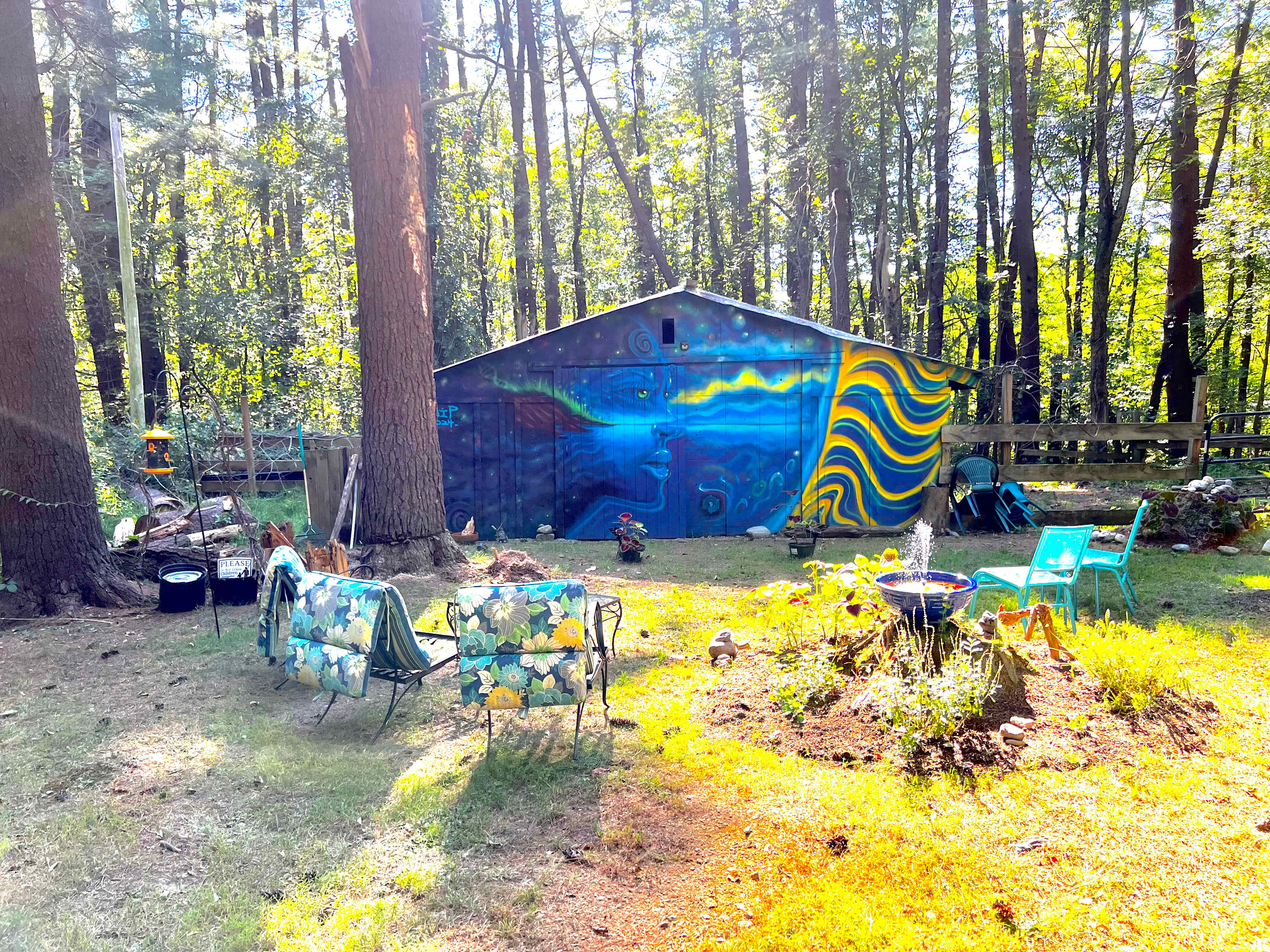 Picture of the site