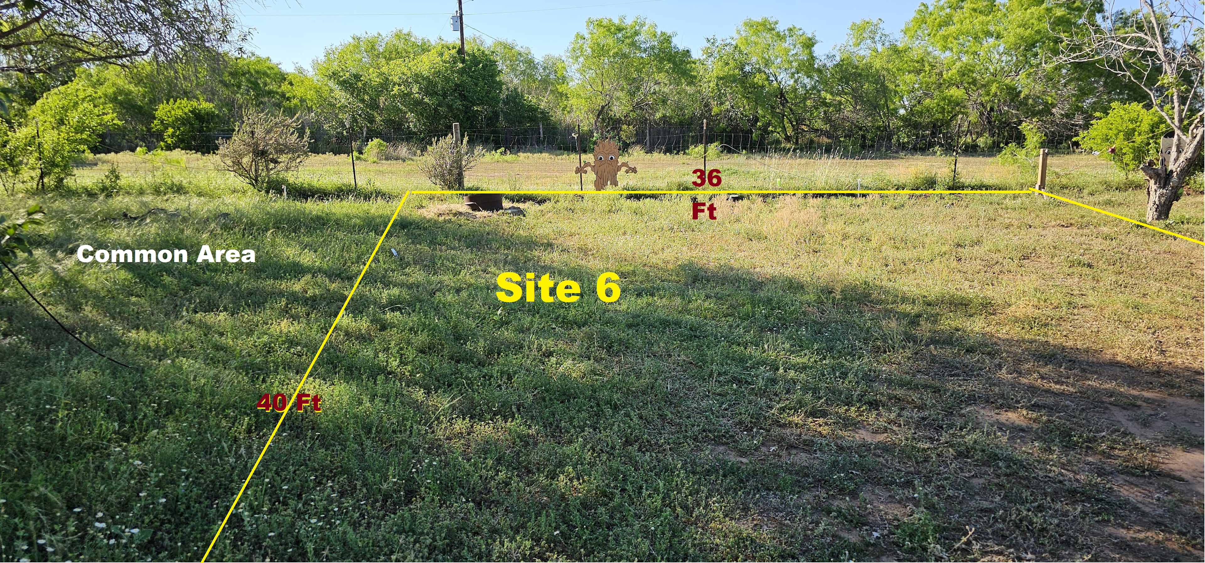Picture of the site