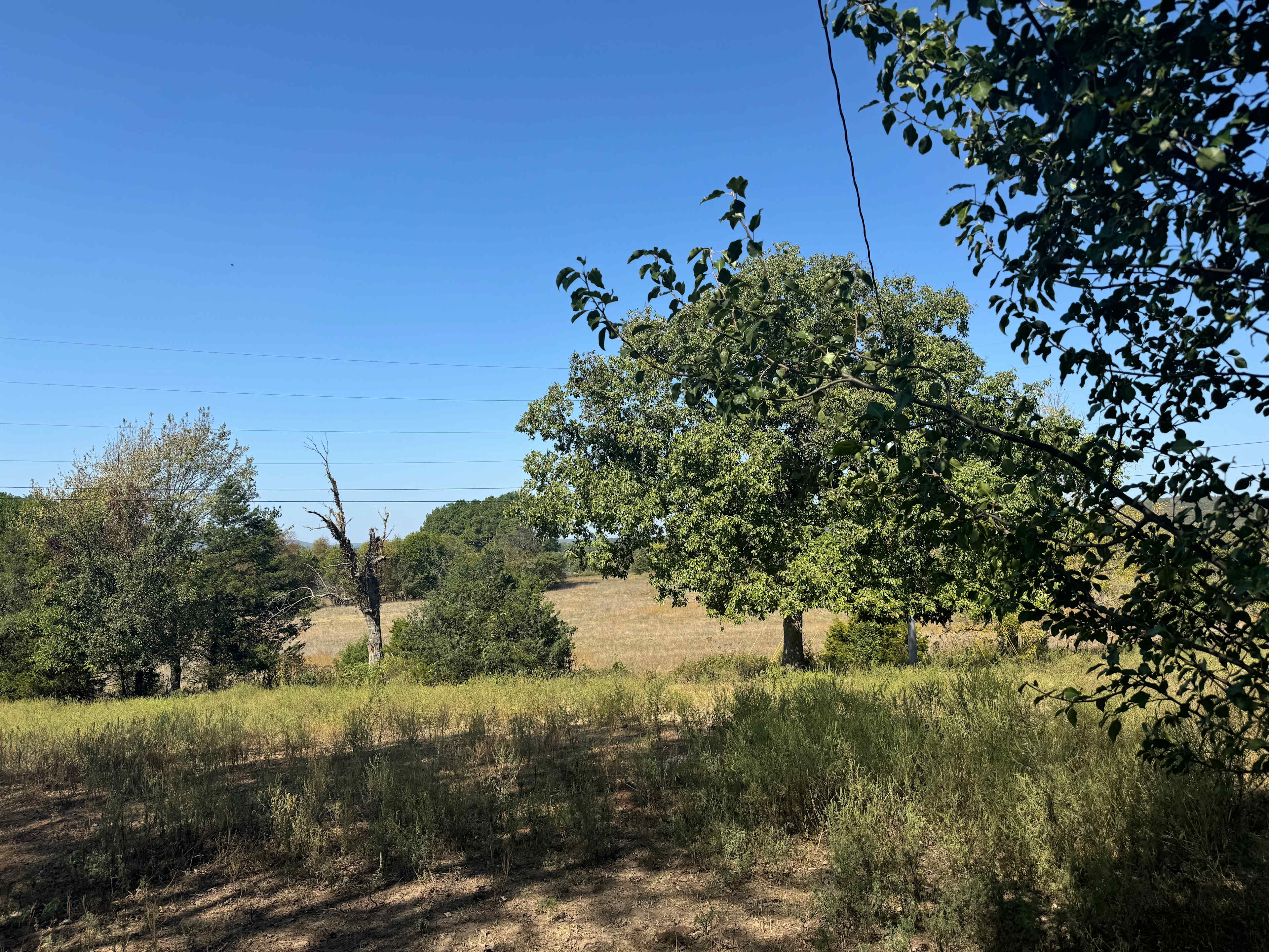 Ferguson Farms