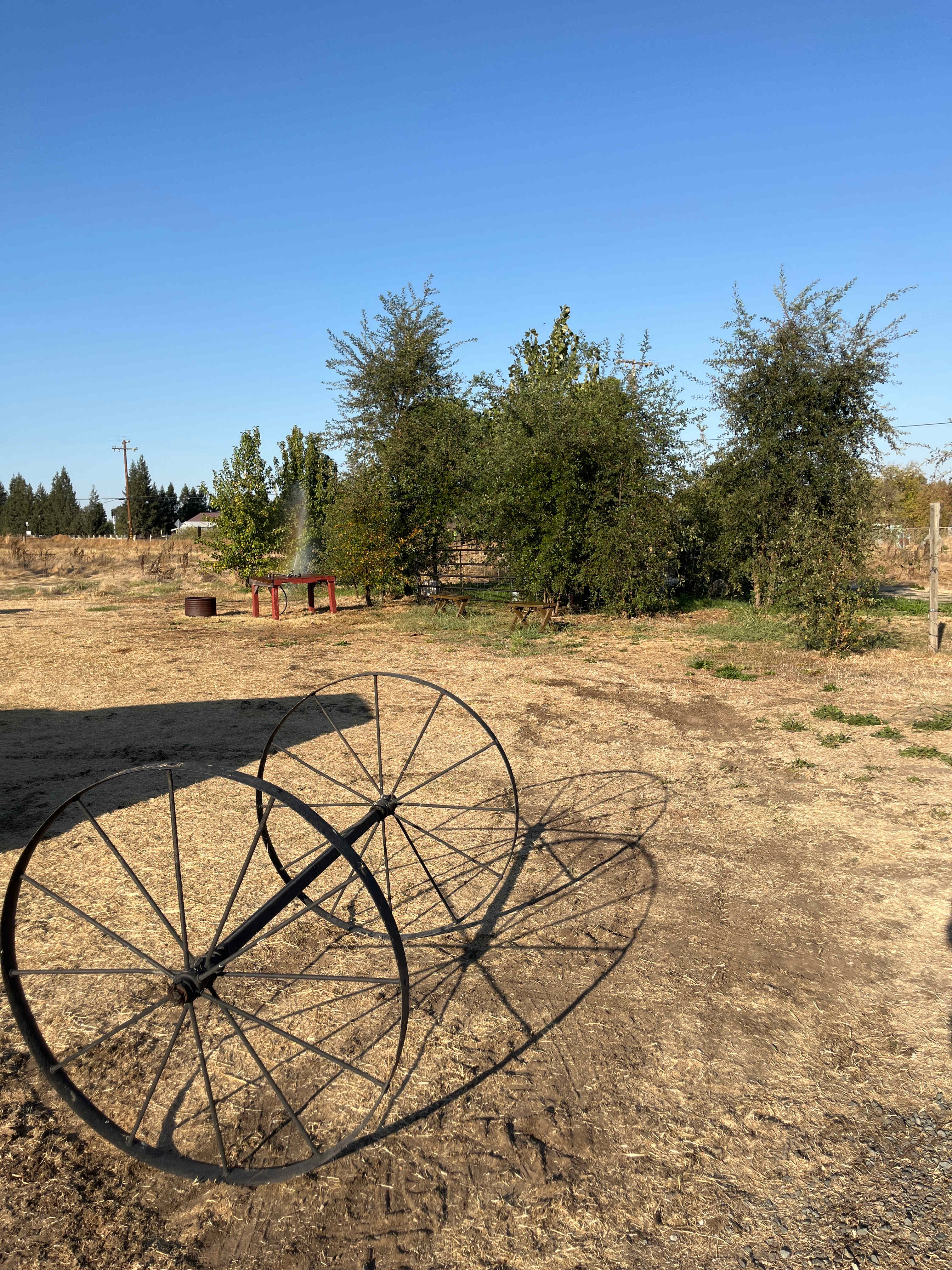 The Foxes  Family Farm