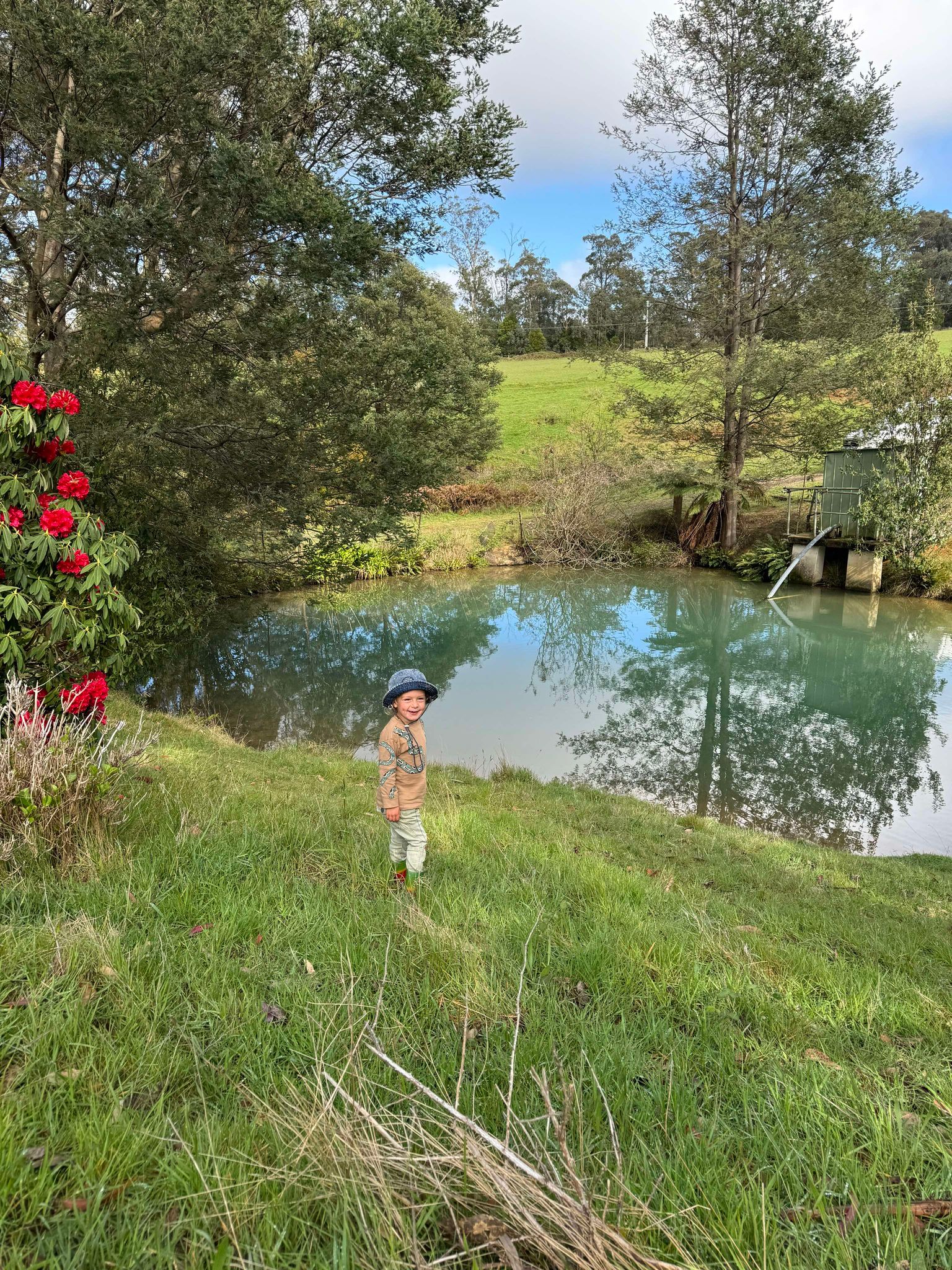 Mountain Flower Farm