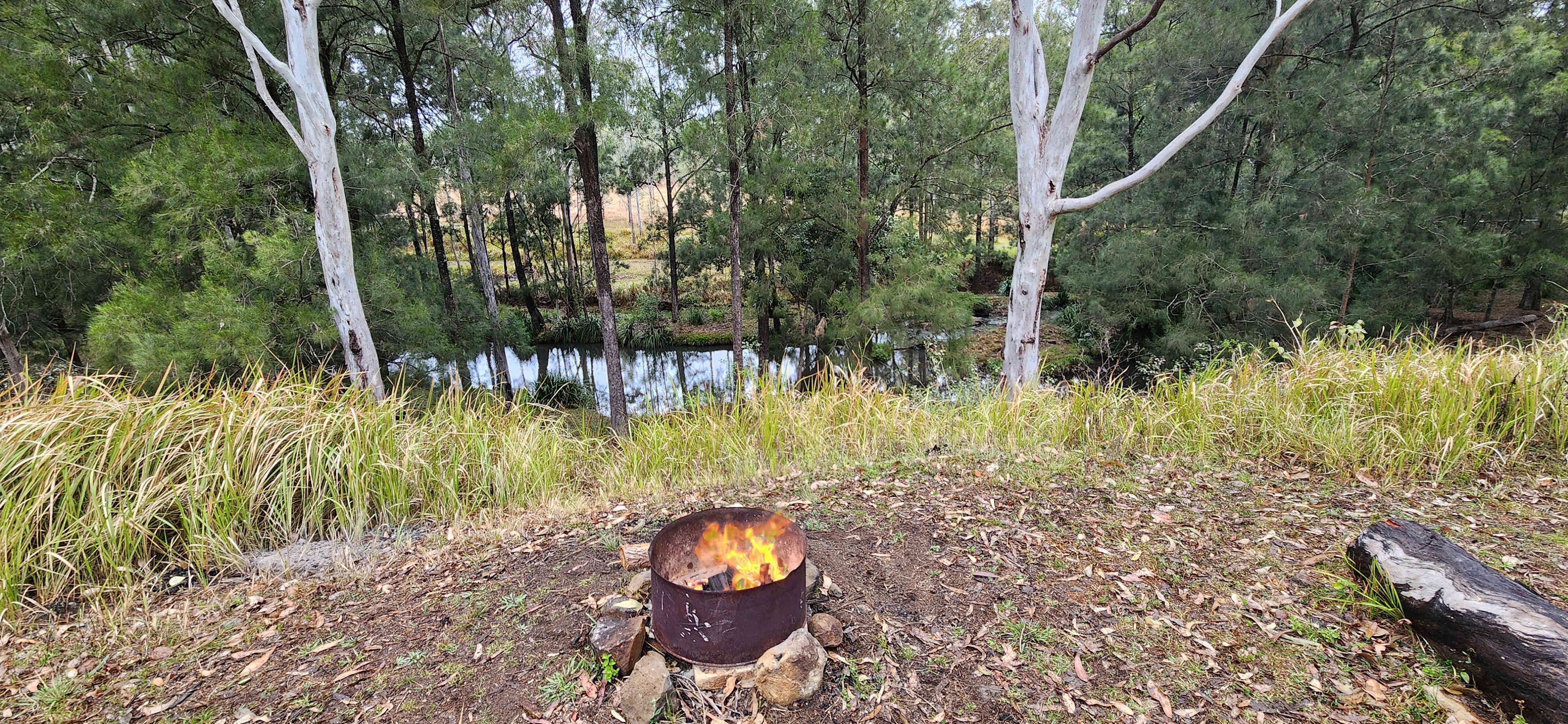 Looking down to the creek from camp