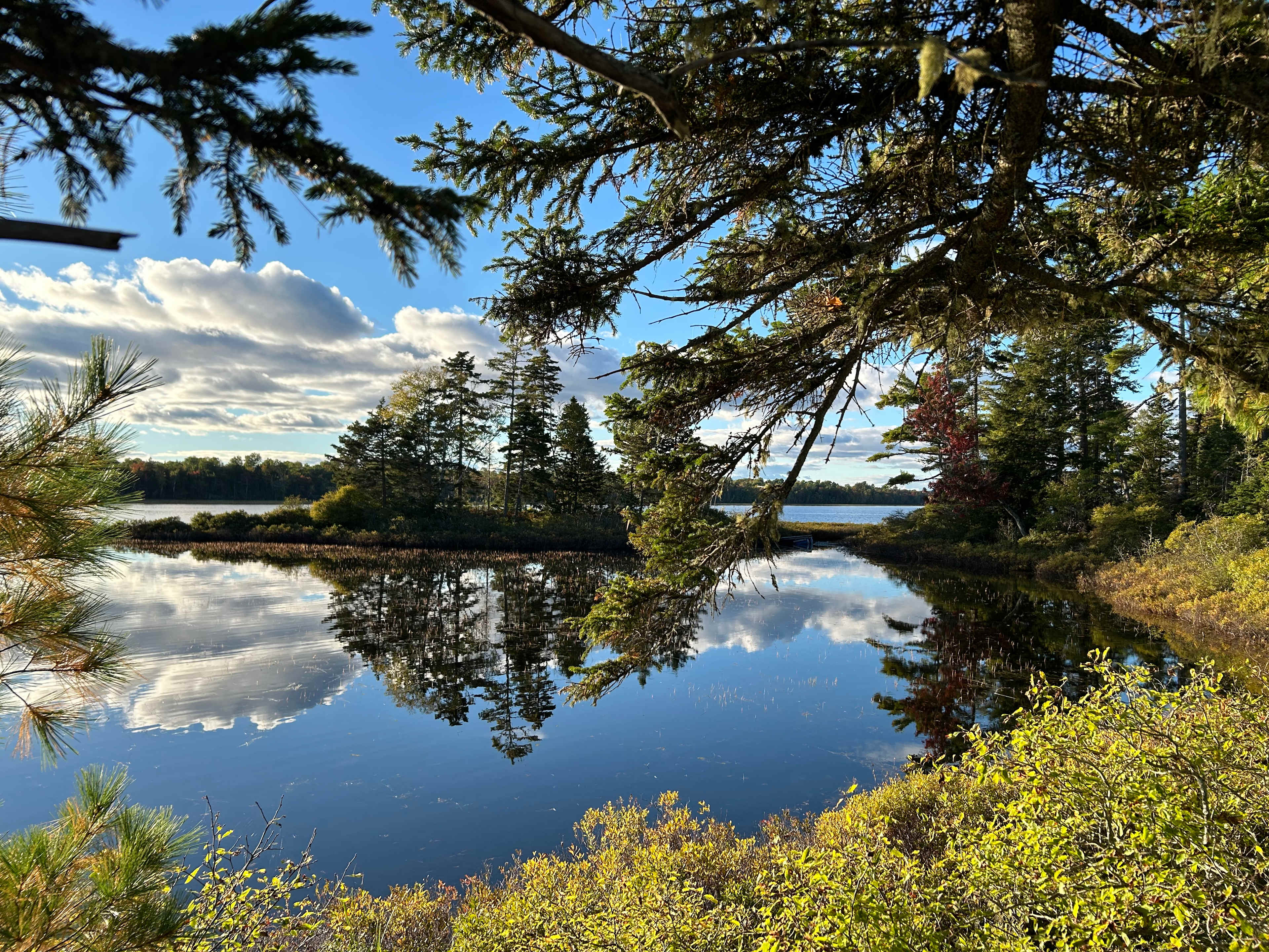 Knotty Pines Island Getaway