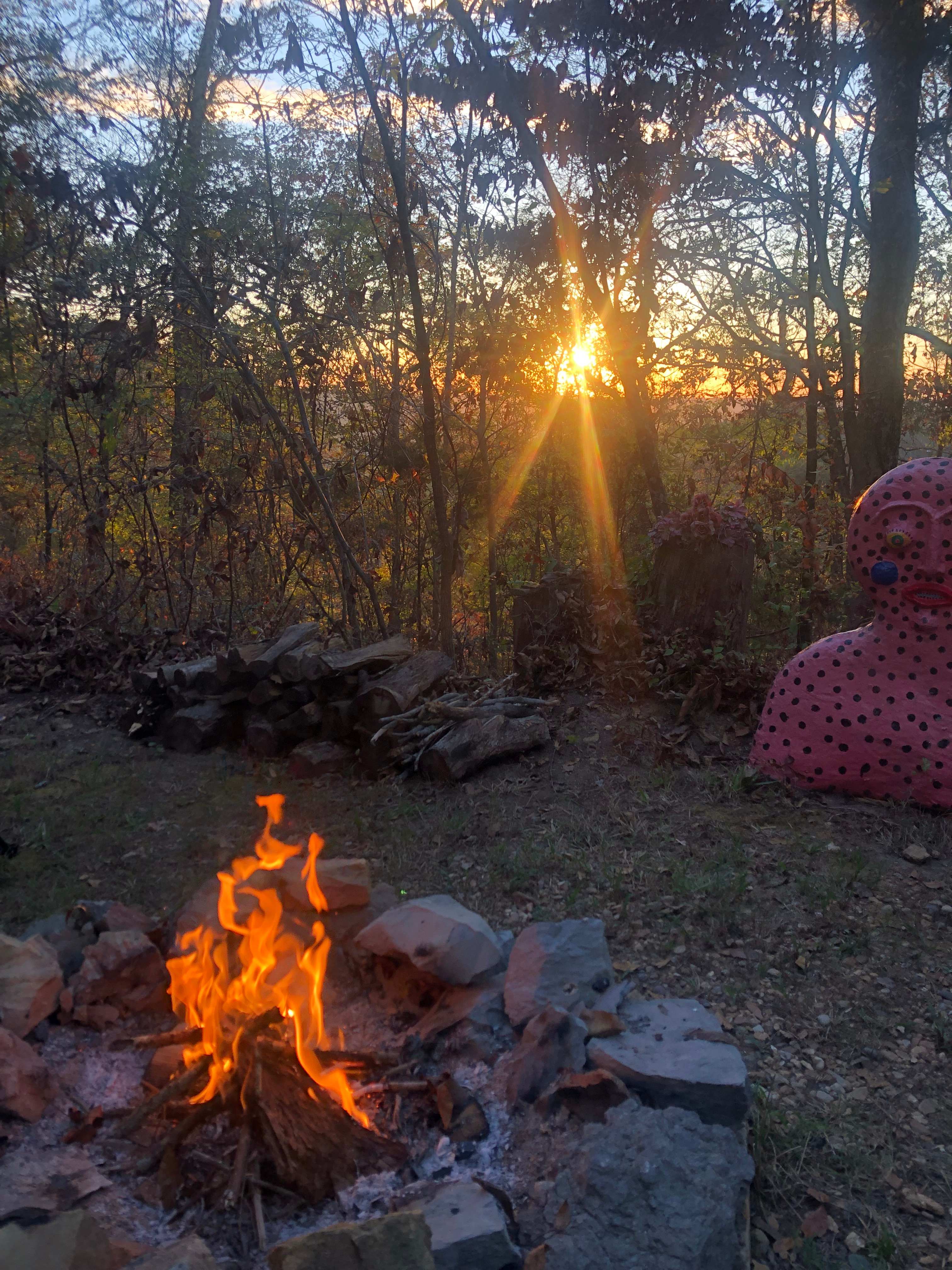 Creature Camp