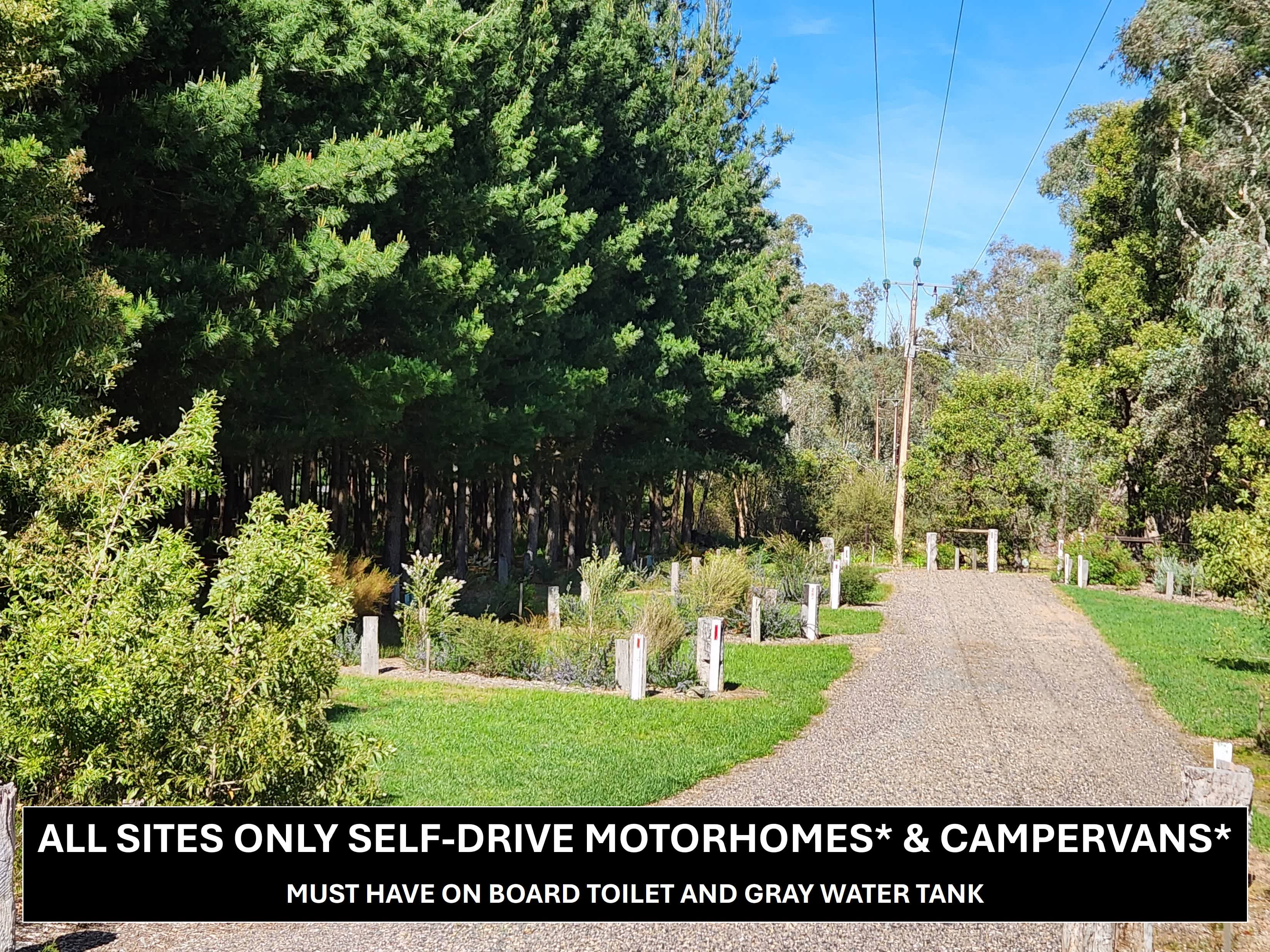 RV Sites accessible through a loose stone road. Sites 3-7 are larger sites, separated by native flora. Summer, Forest Gate Winter Wetlands, Kuitpo.