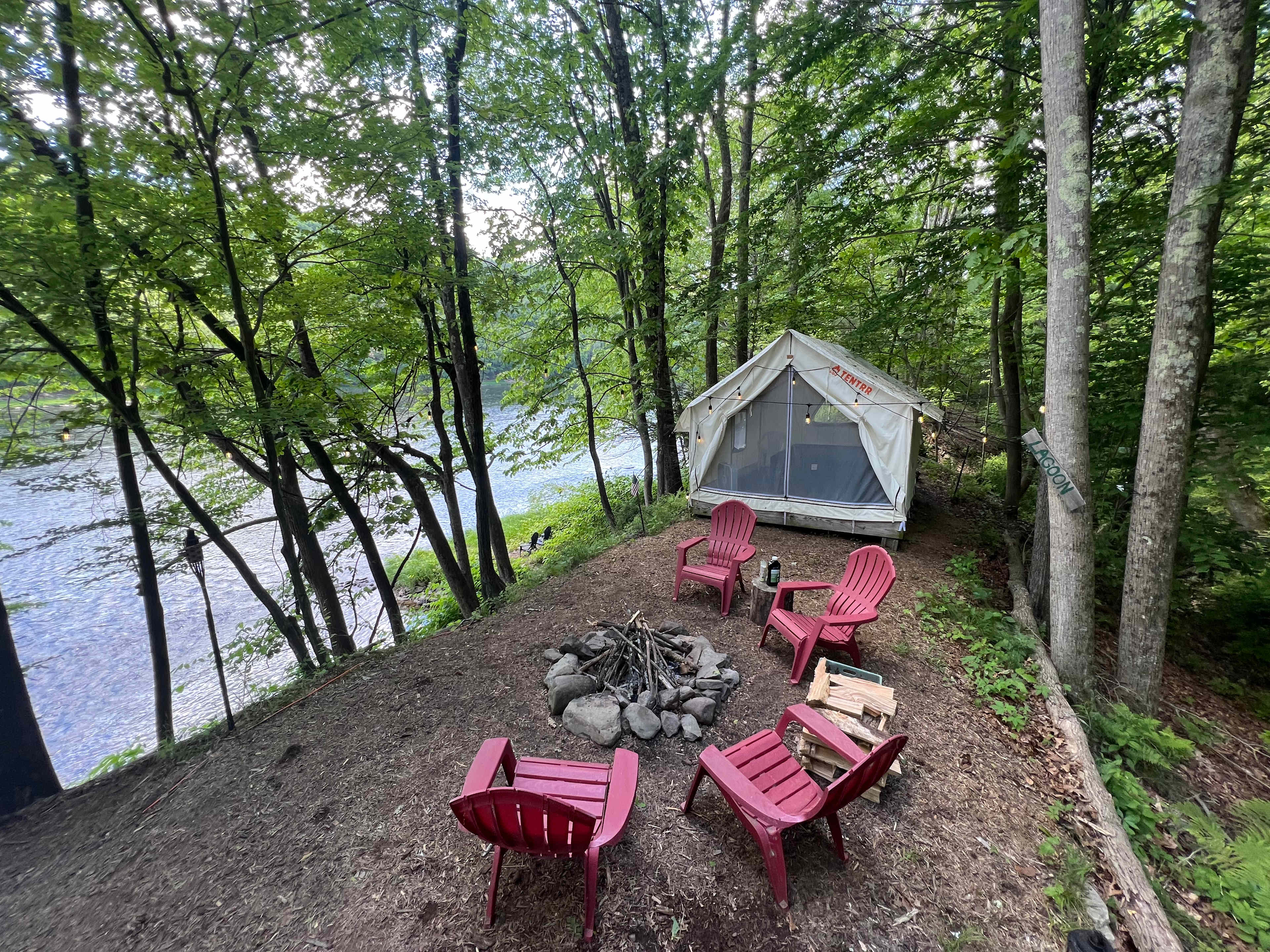 Picture of the site