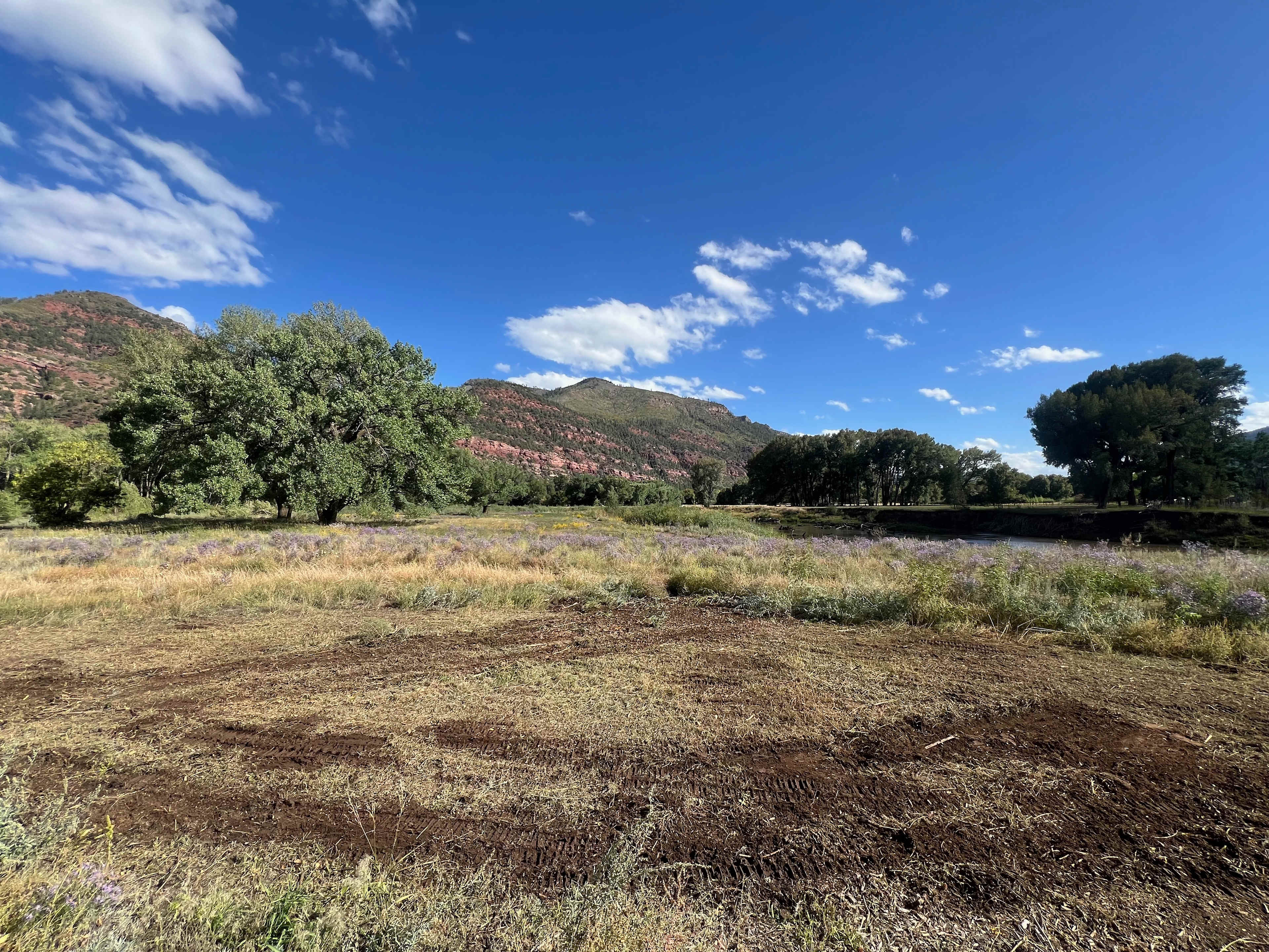 Riverside Meadows Camping