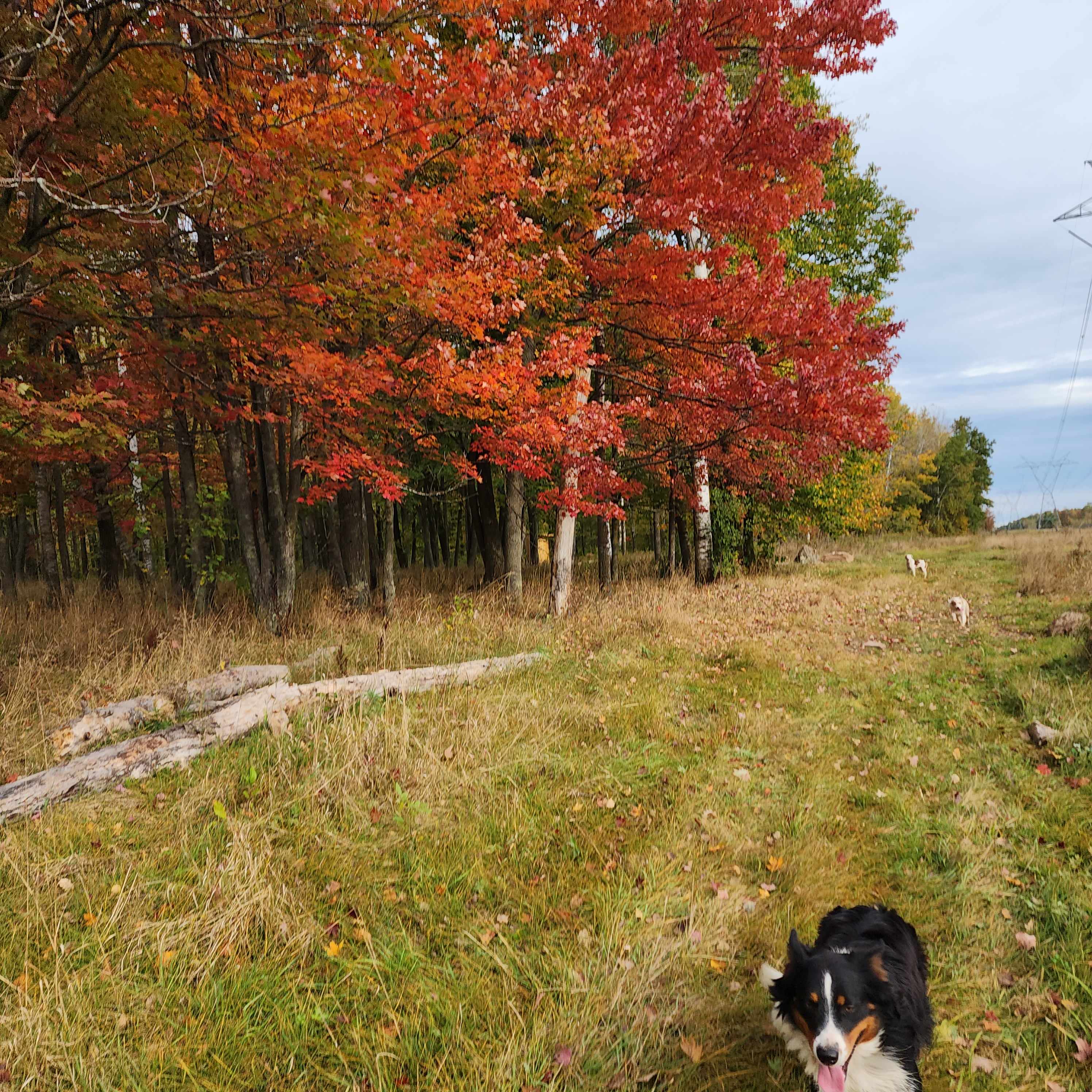 Trails End Retreat