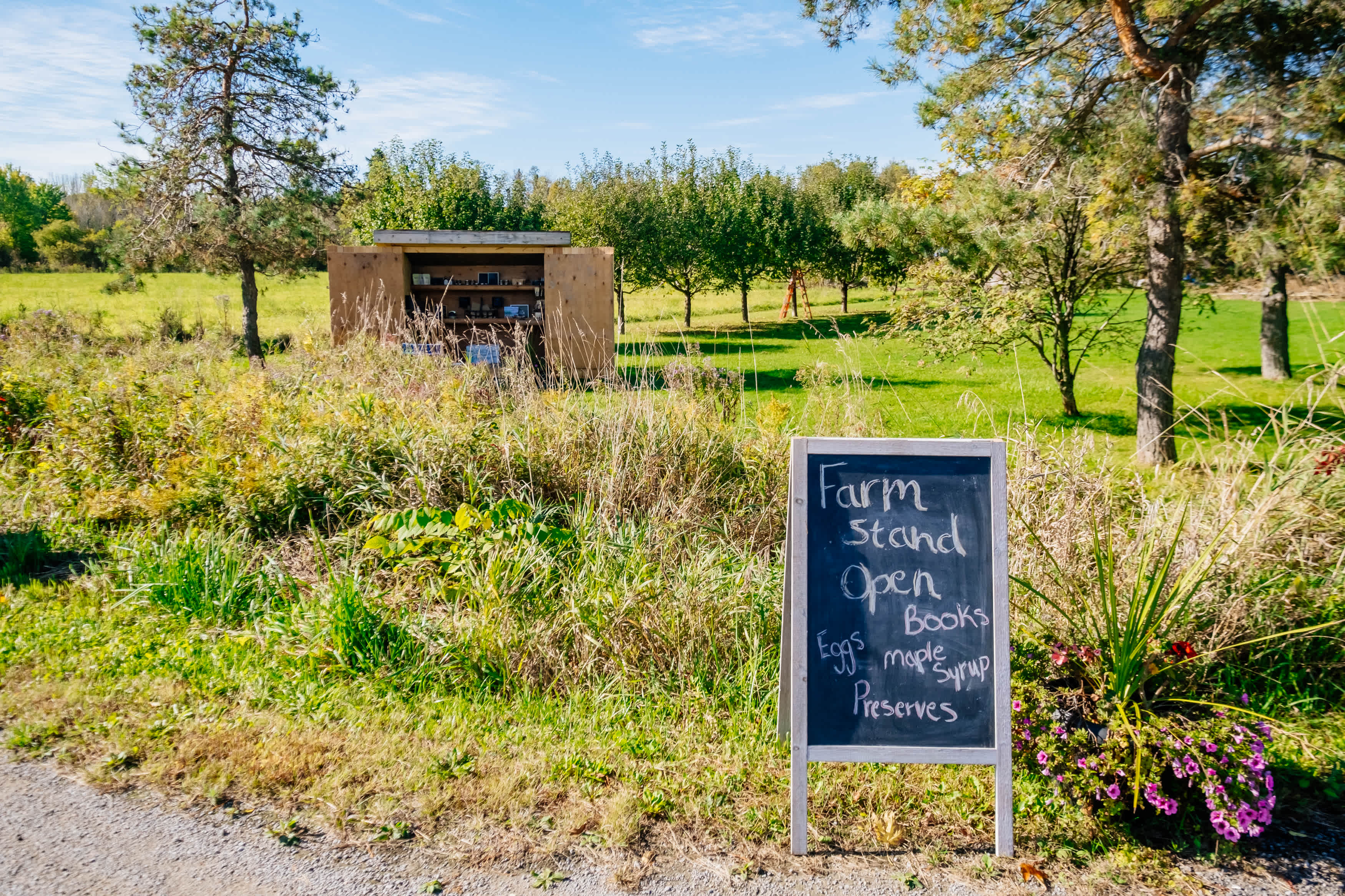 This way to the farm stand.