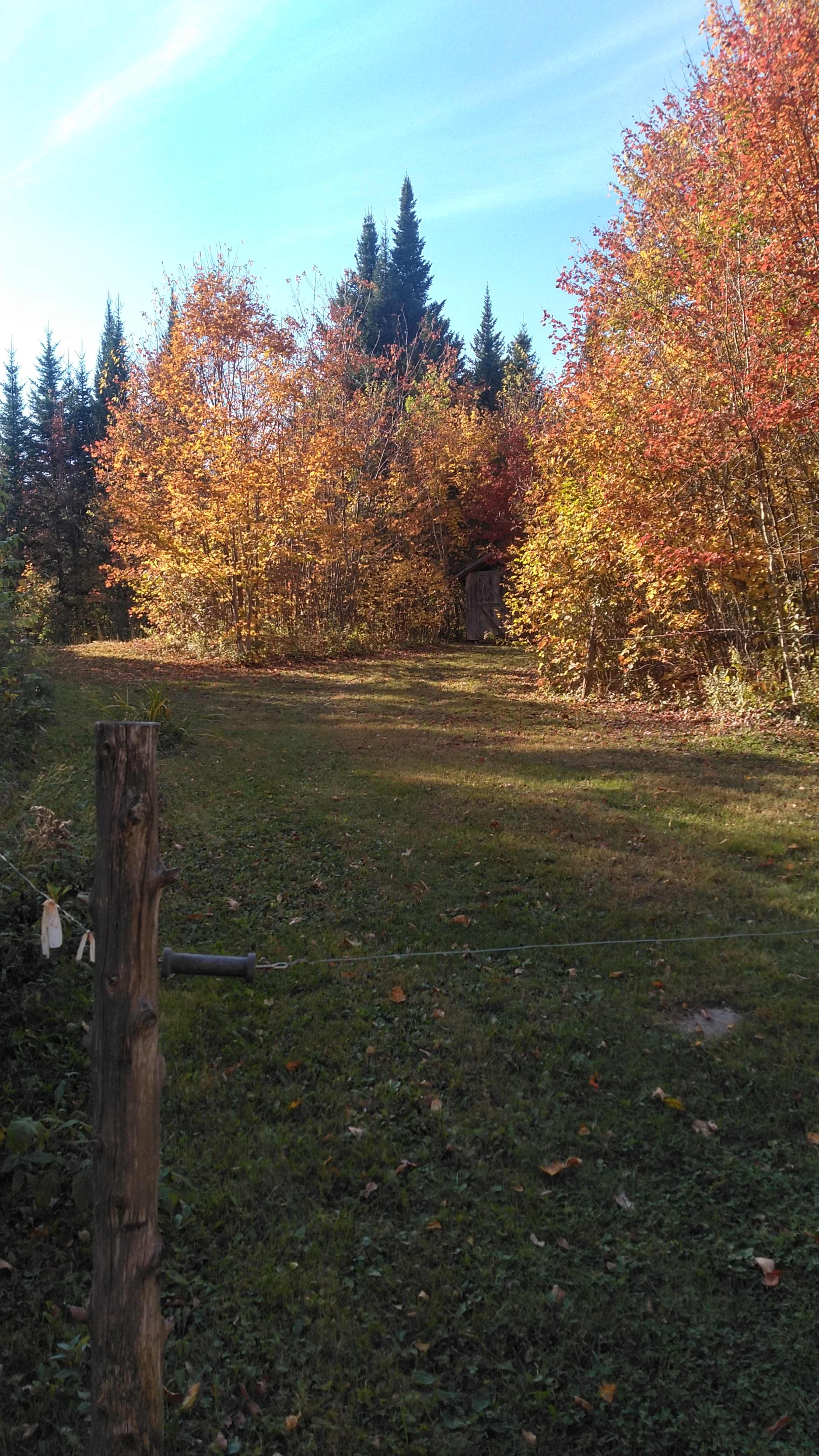 Crickle Creek