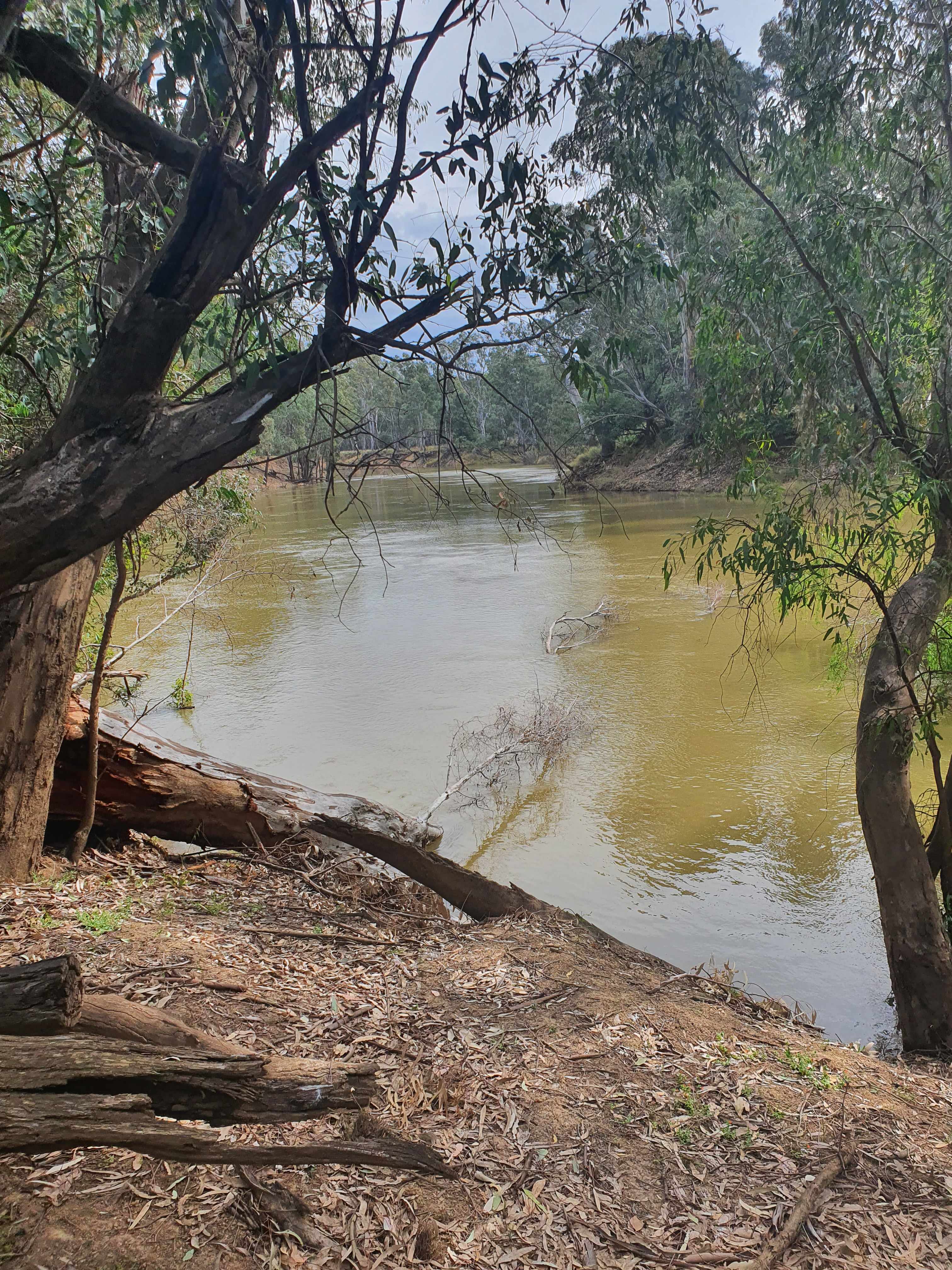 Goulburn Downs