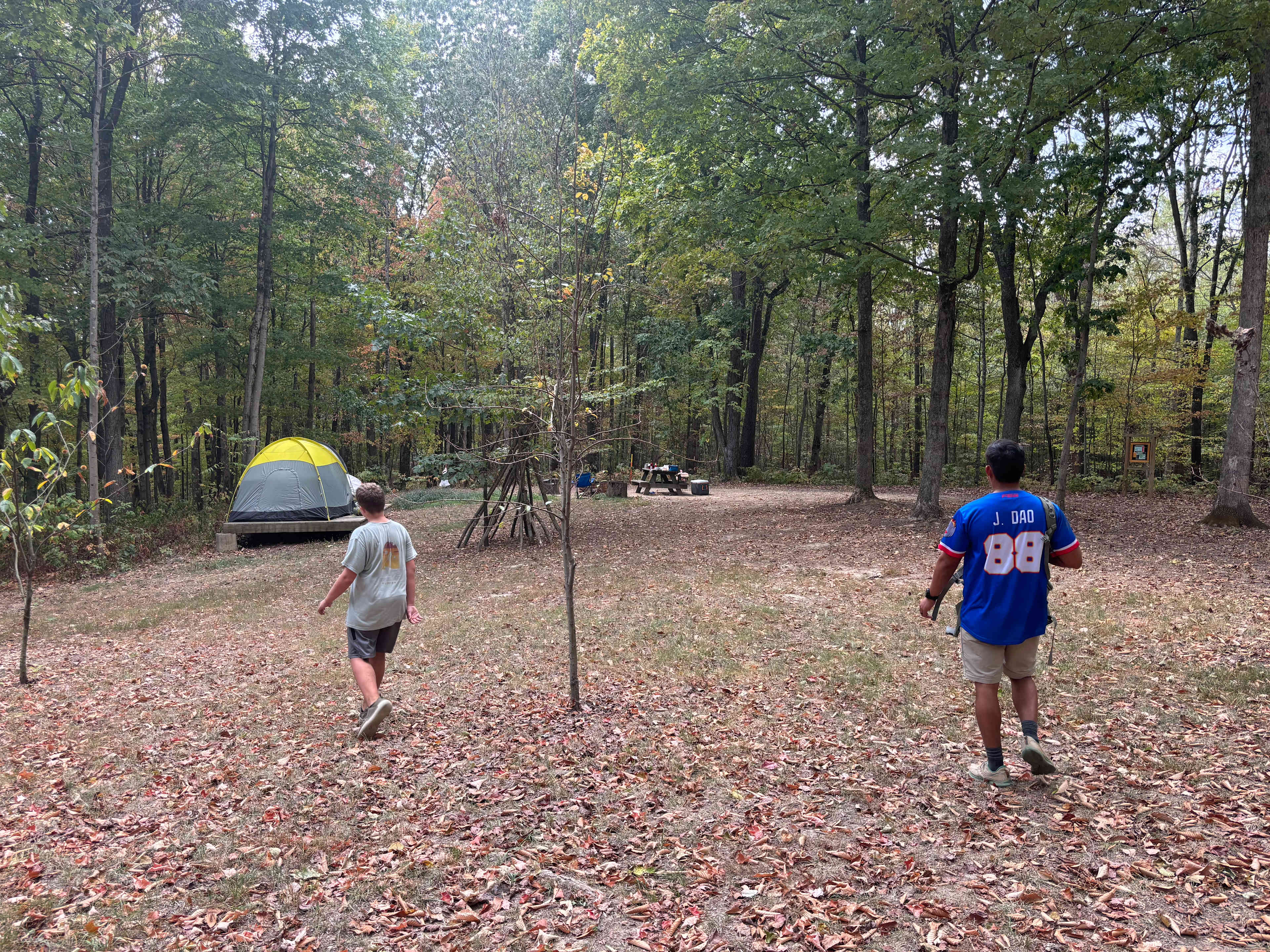 Picture of the site