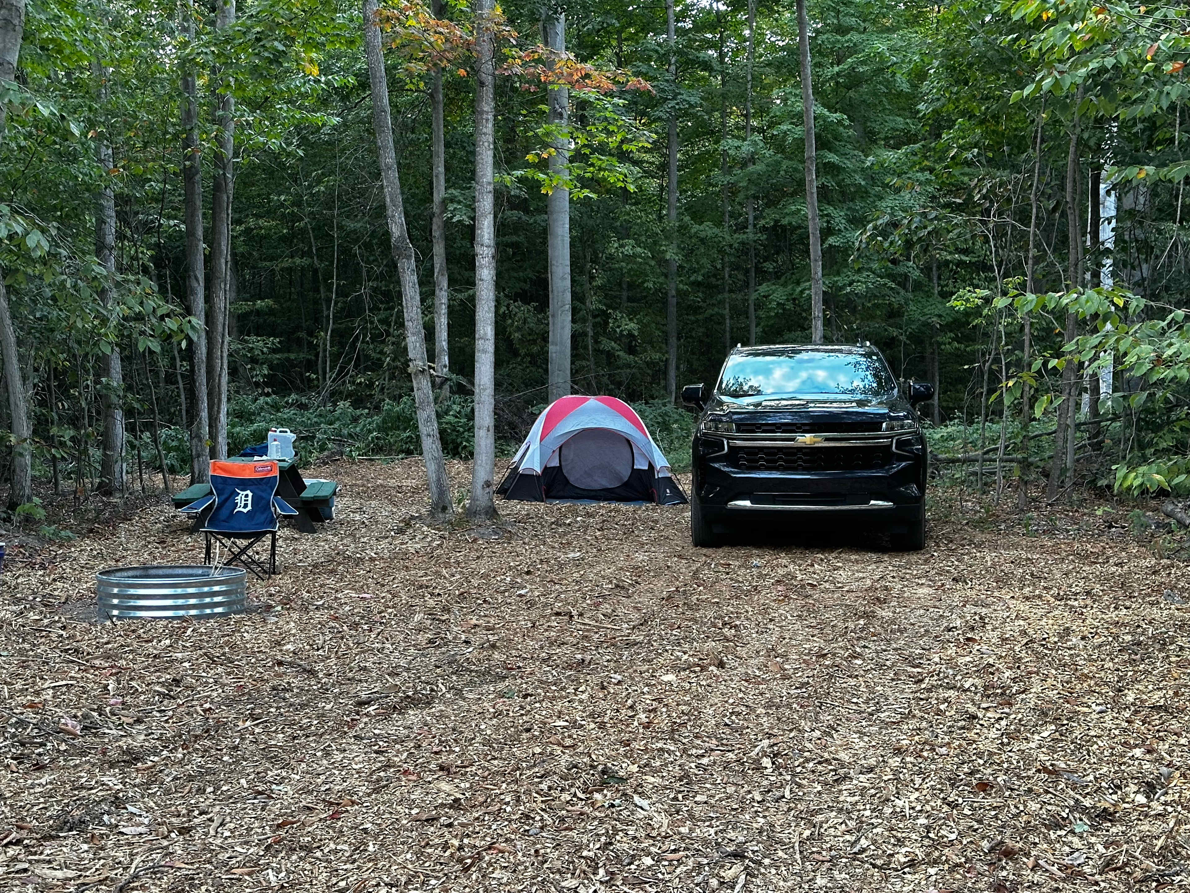 Picture of the site