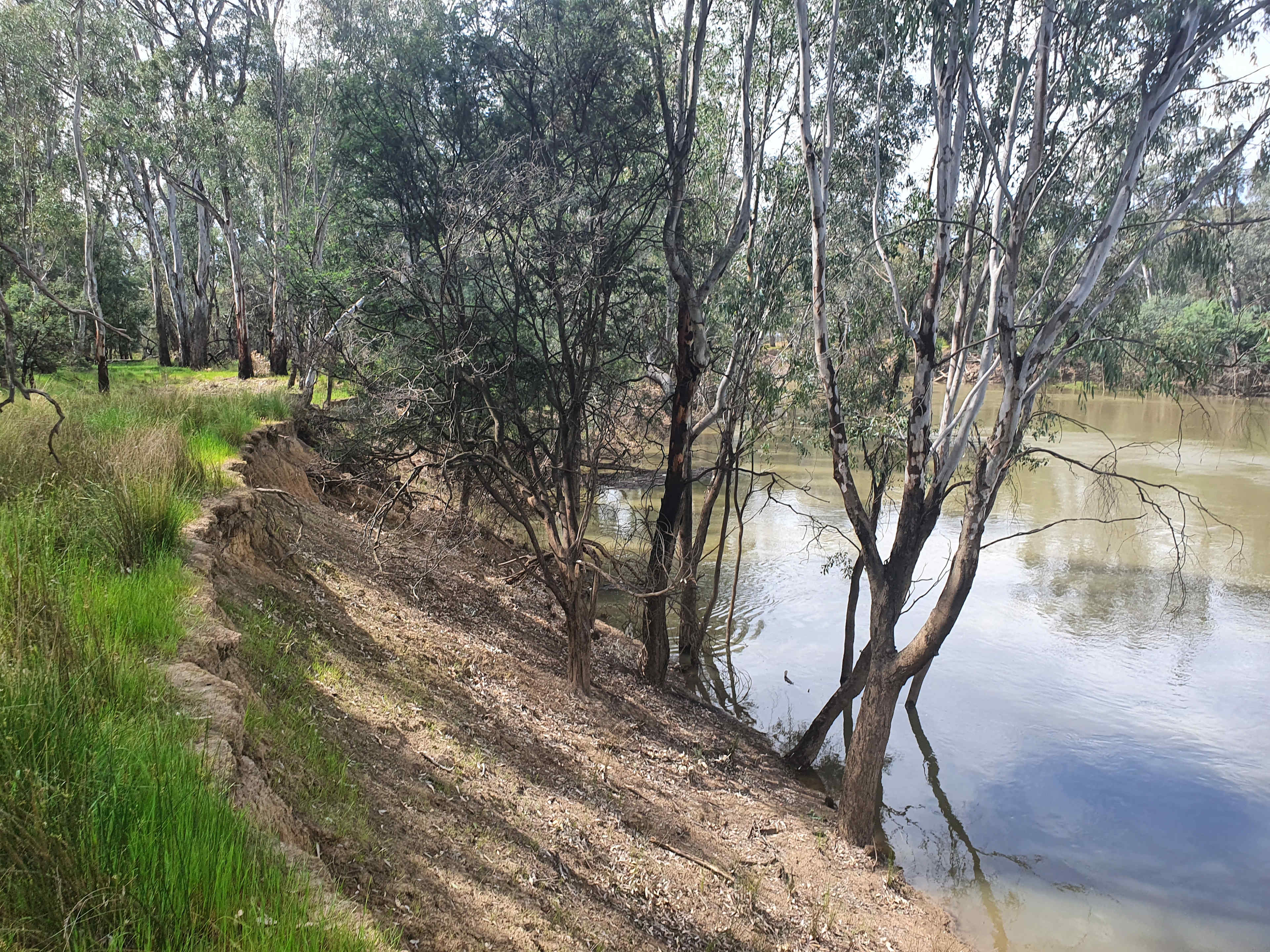 Goulburn Downs