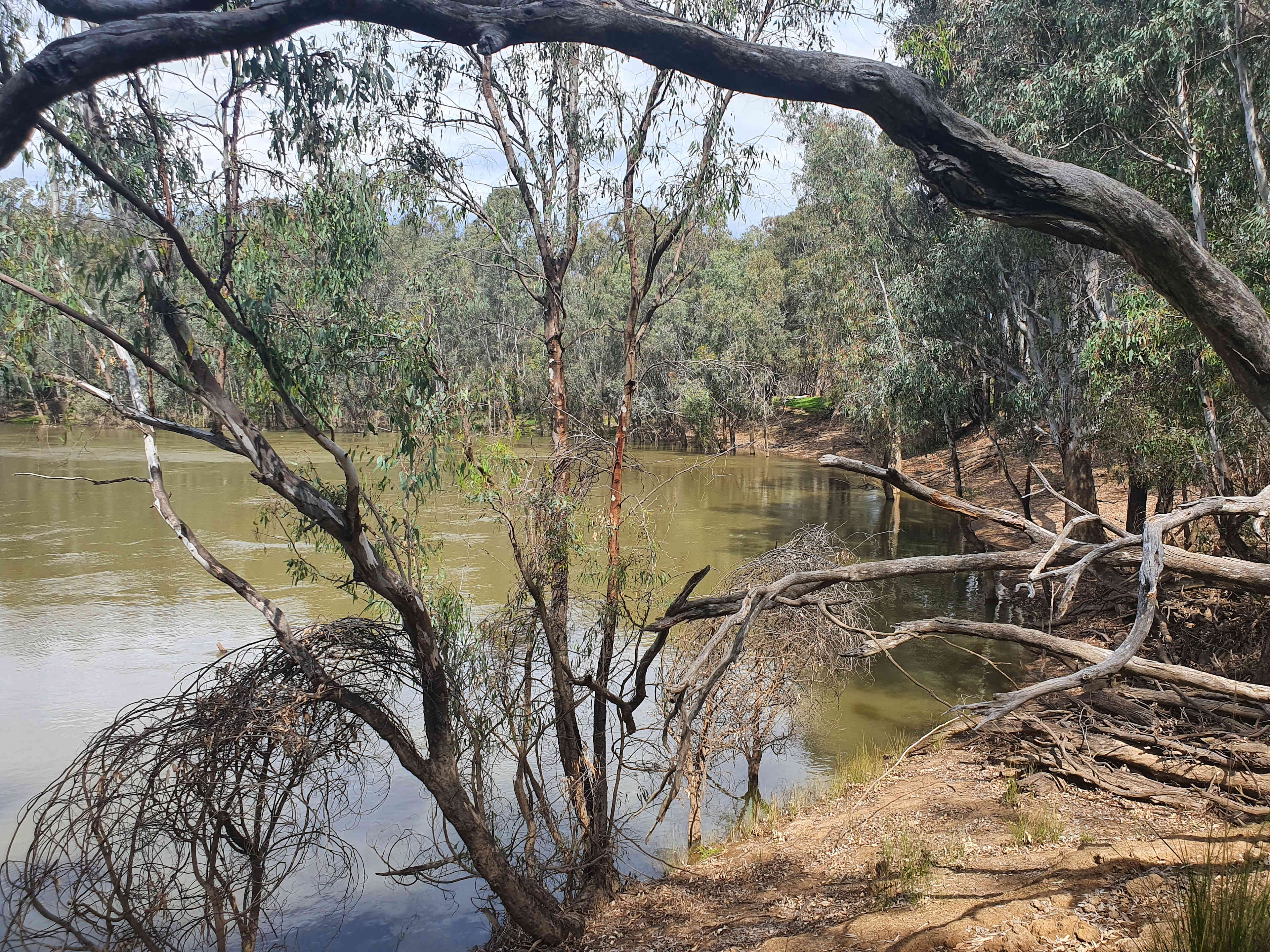 Goulburn Downs