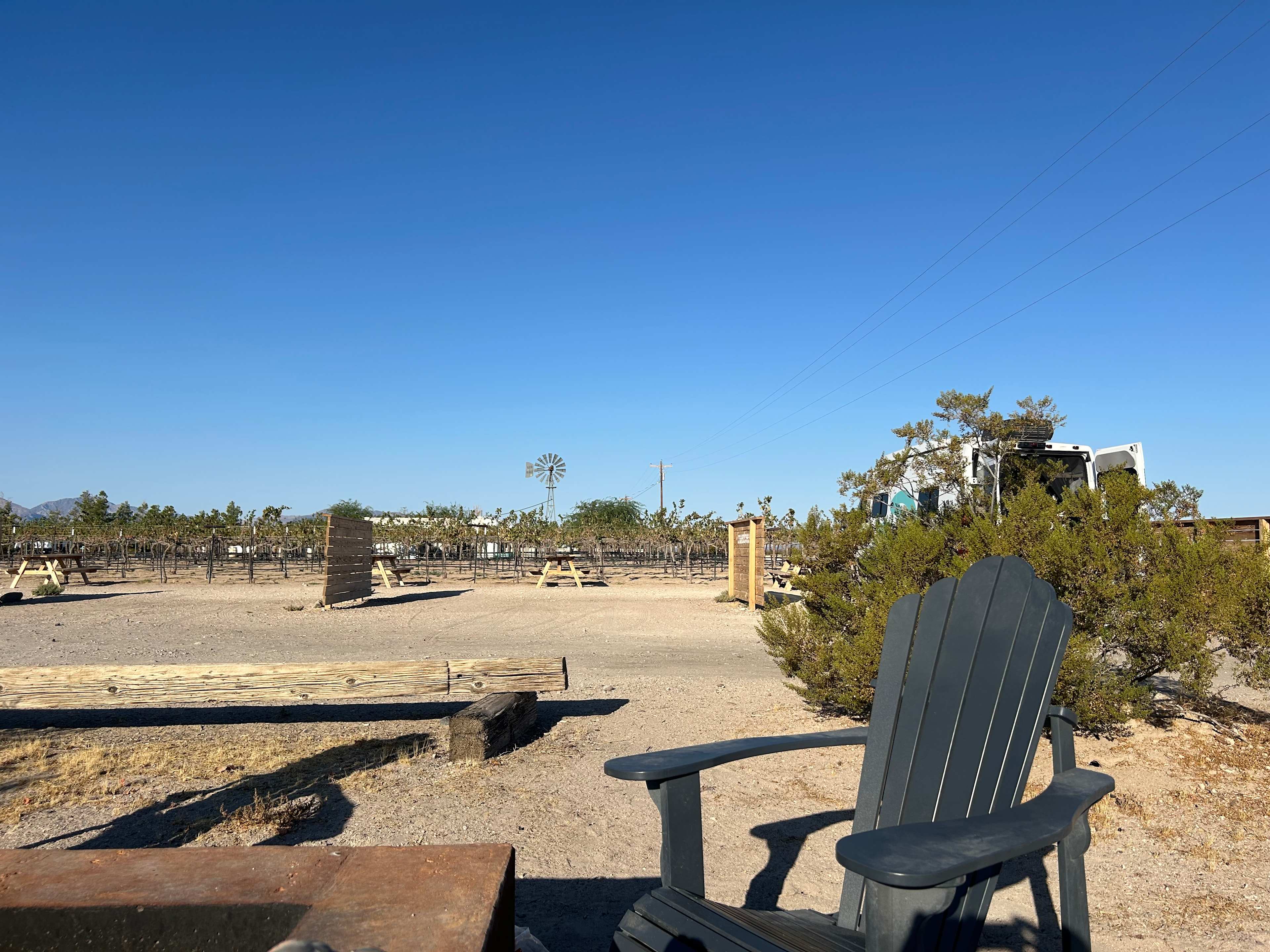 Tarantula Ranch