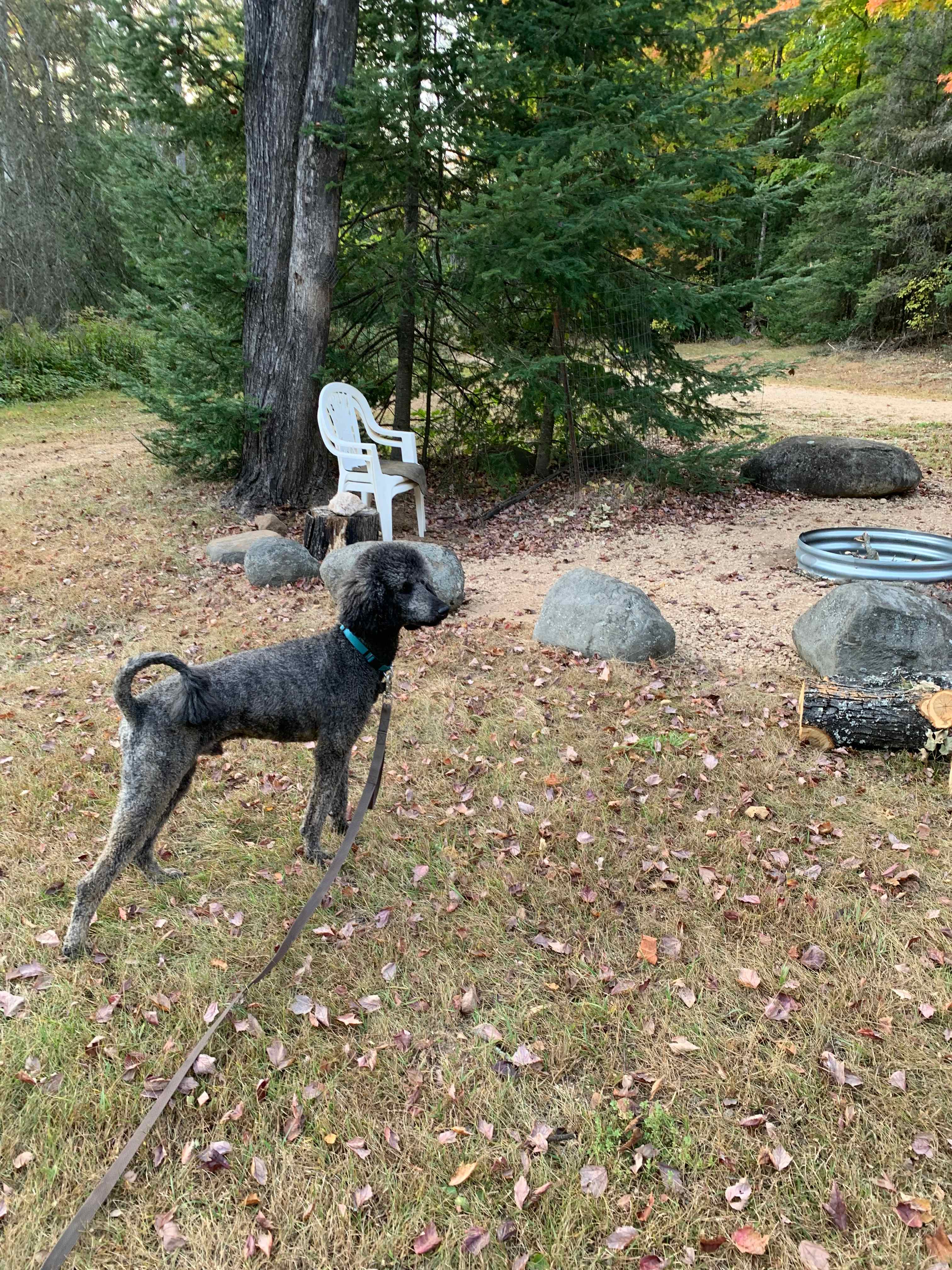 Checking out the fire pit area. 