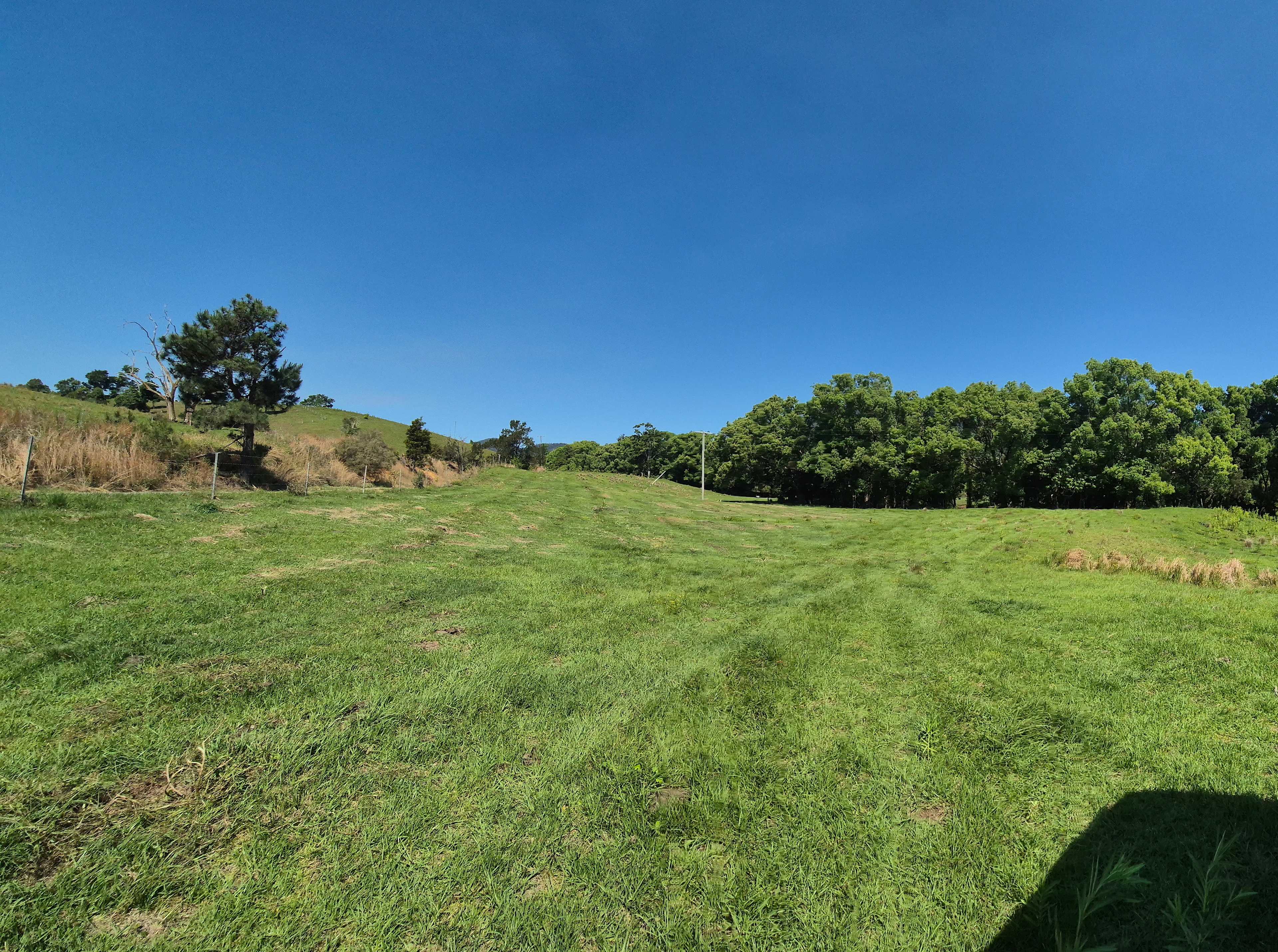 Oxley View