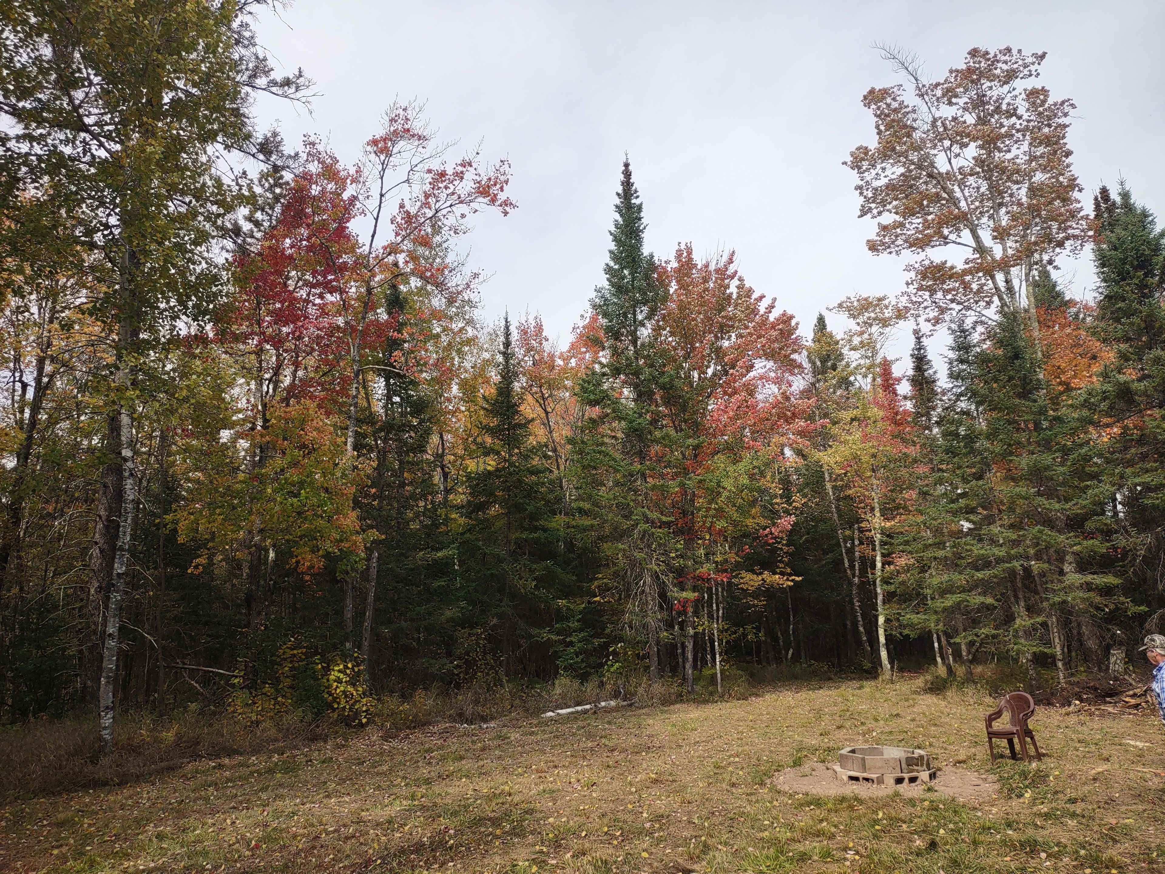 Whispering Pines