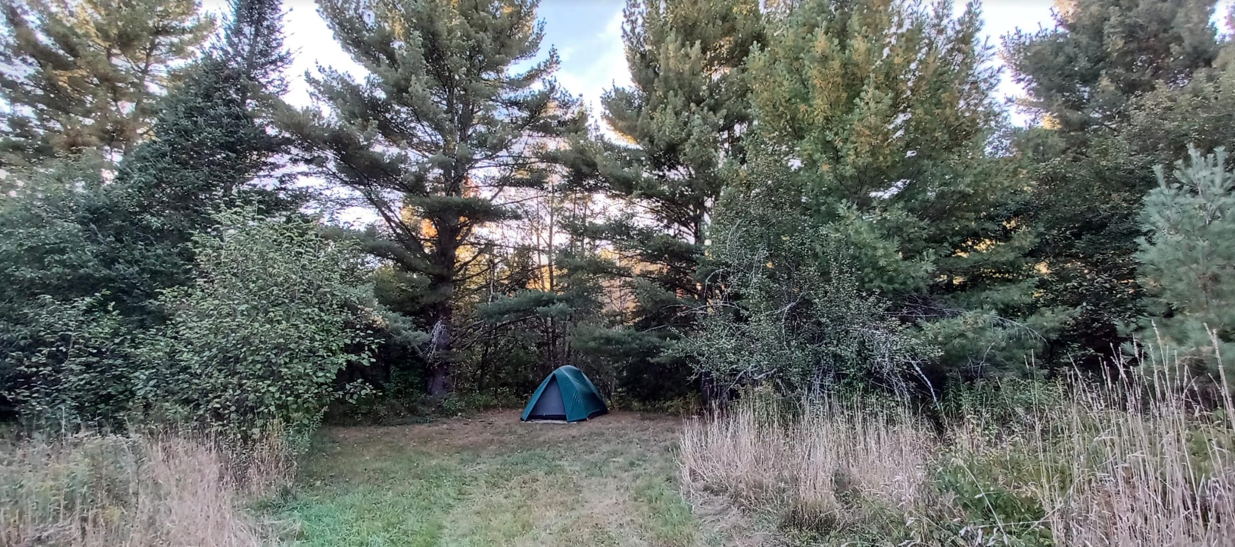 Picture of the site