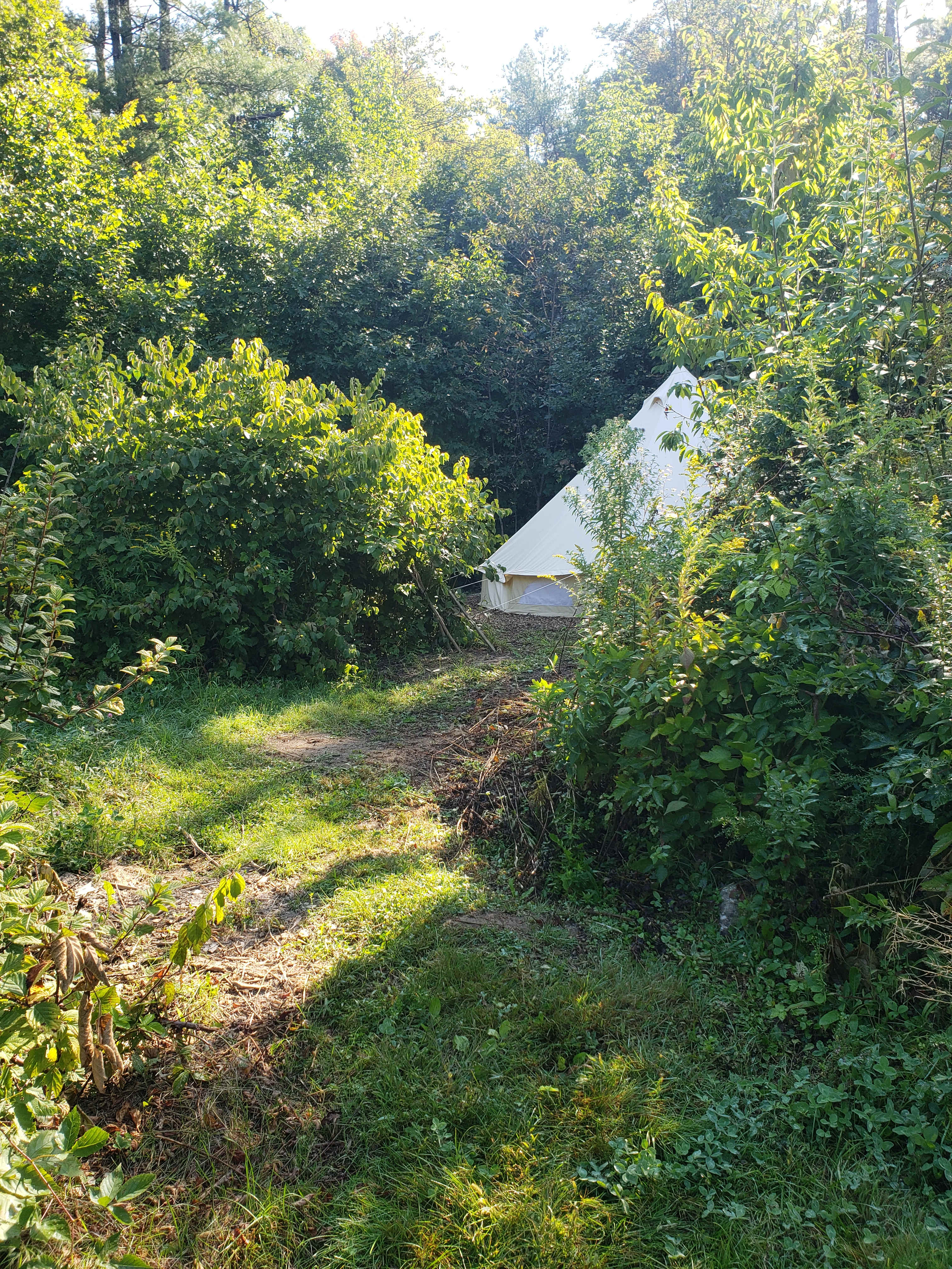 Picture of the site