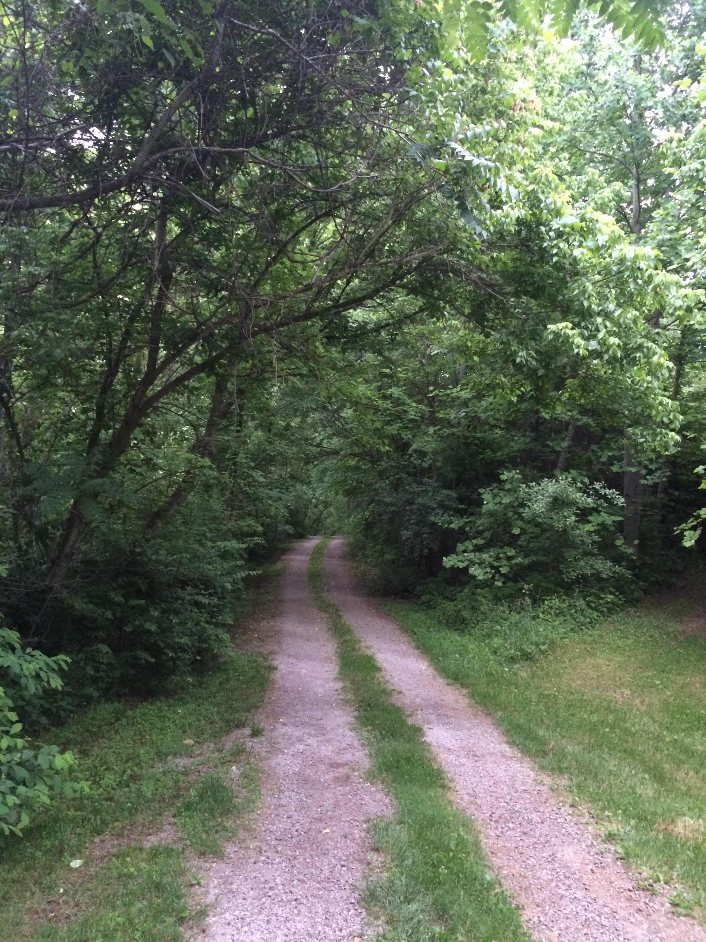 Drive just before reaching entrance to Henry's Holler