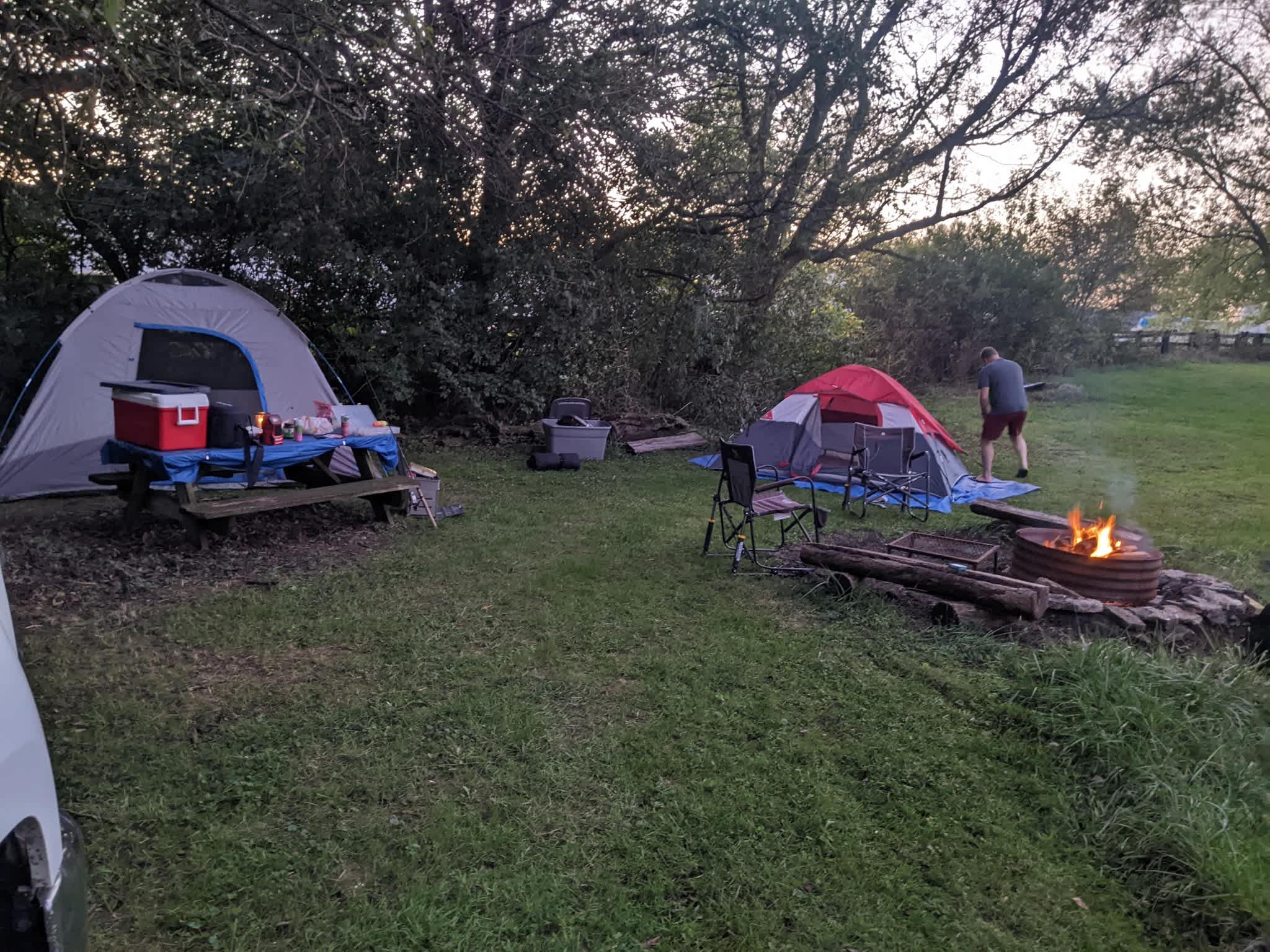 Picture of the site