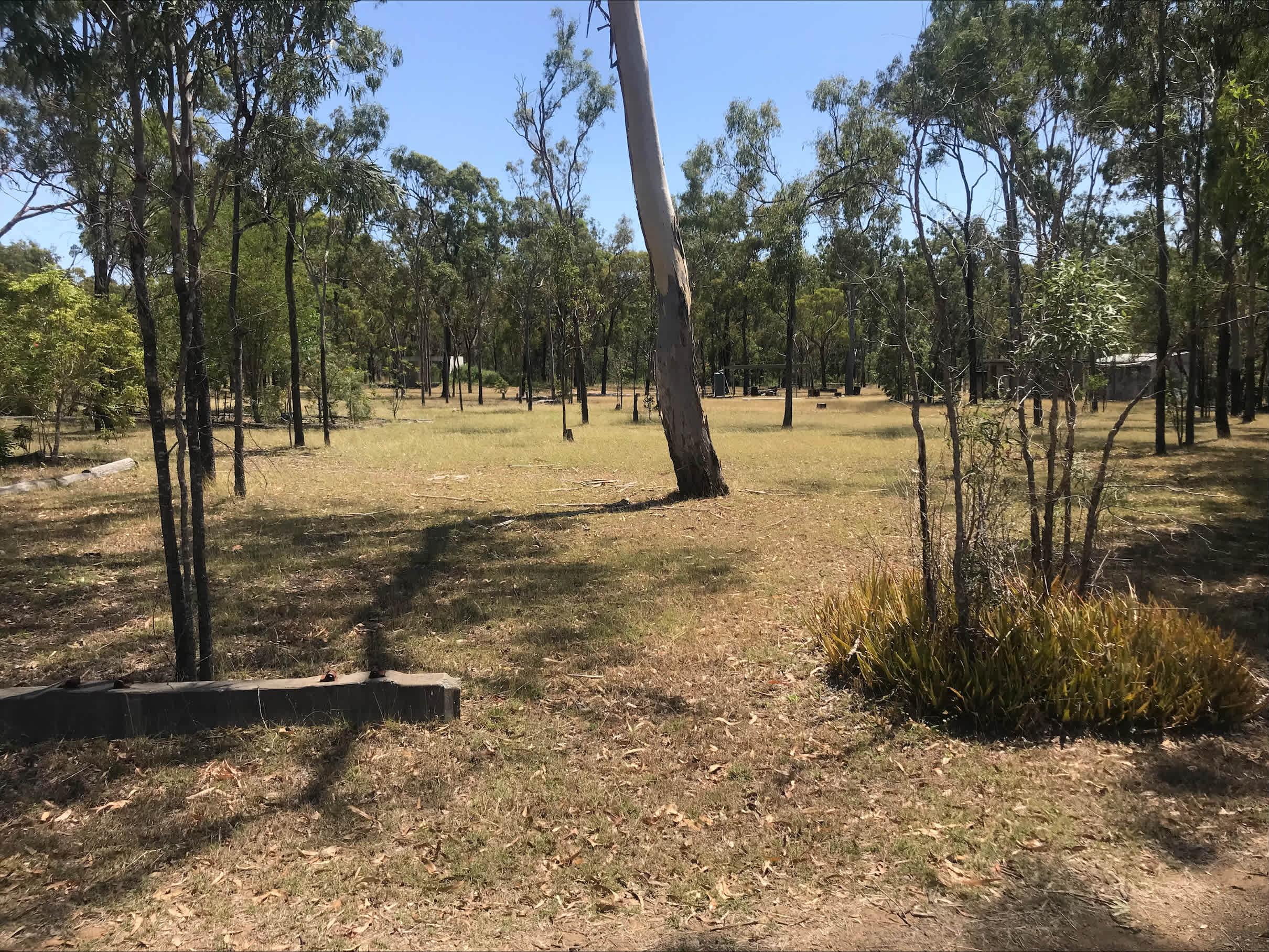 Kooyalee Campsite