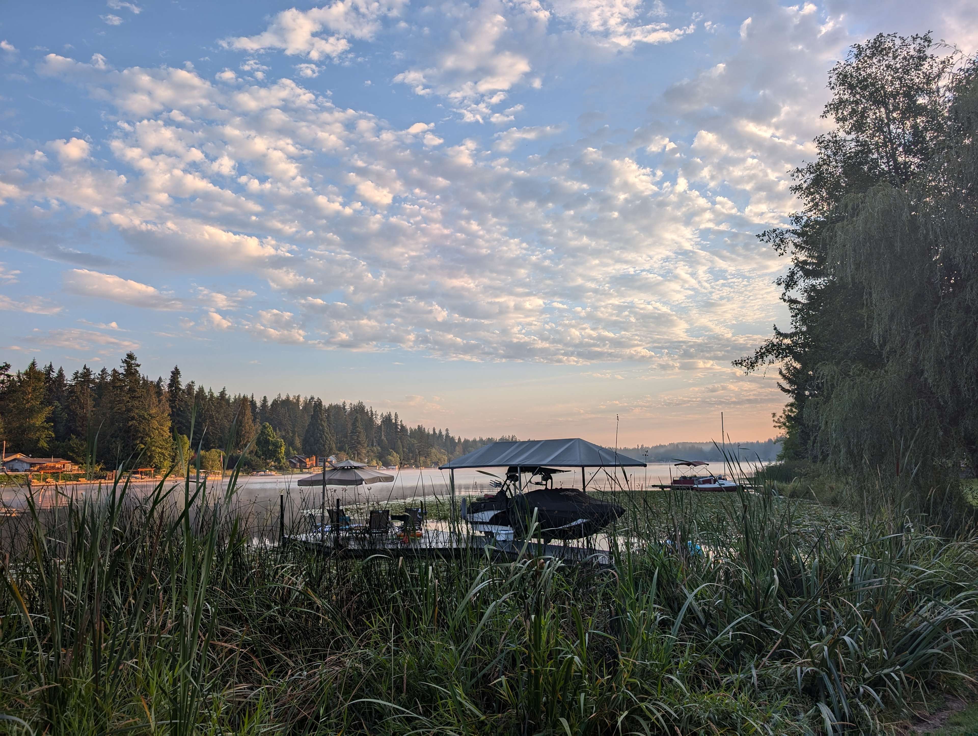 Better to Wake at the Lake