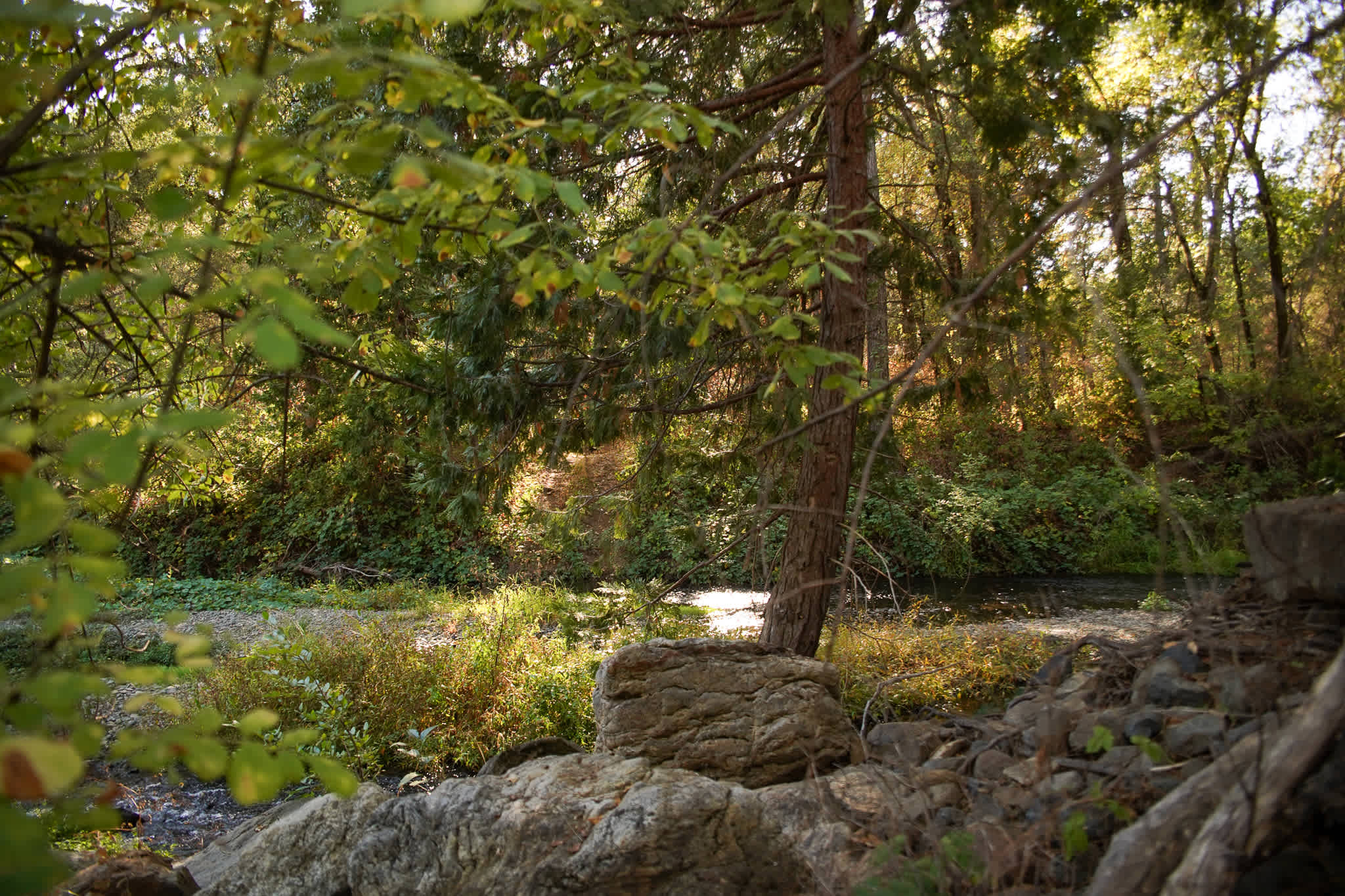 Camp Run Amuck Hollow